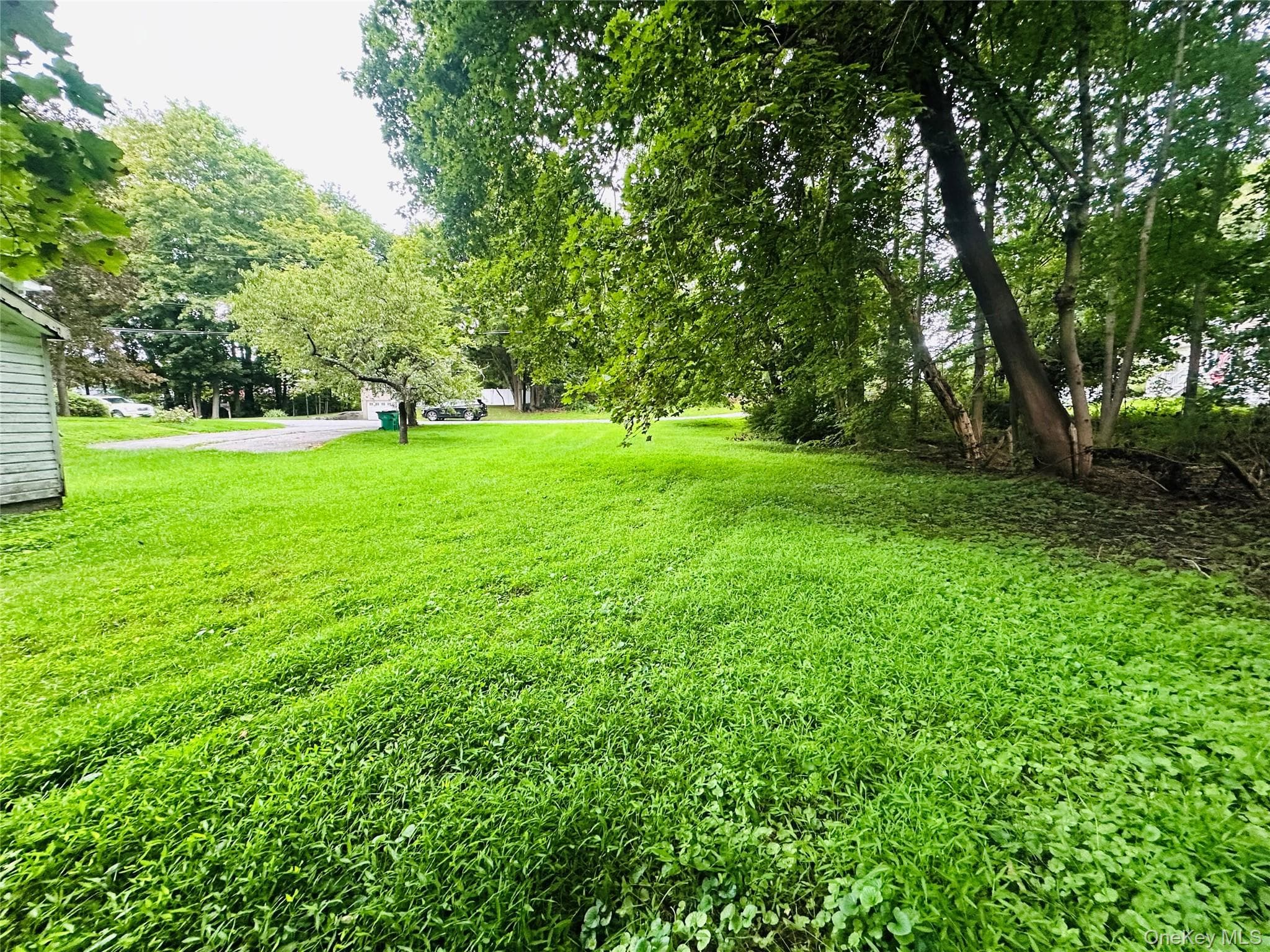 14 Macdonnell Heights thumbnail 19