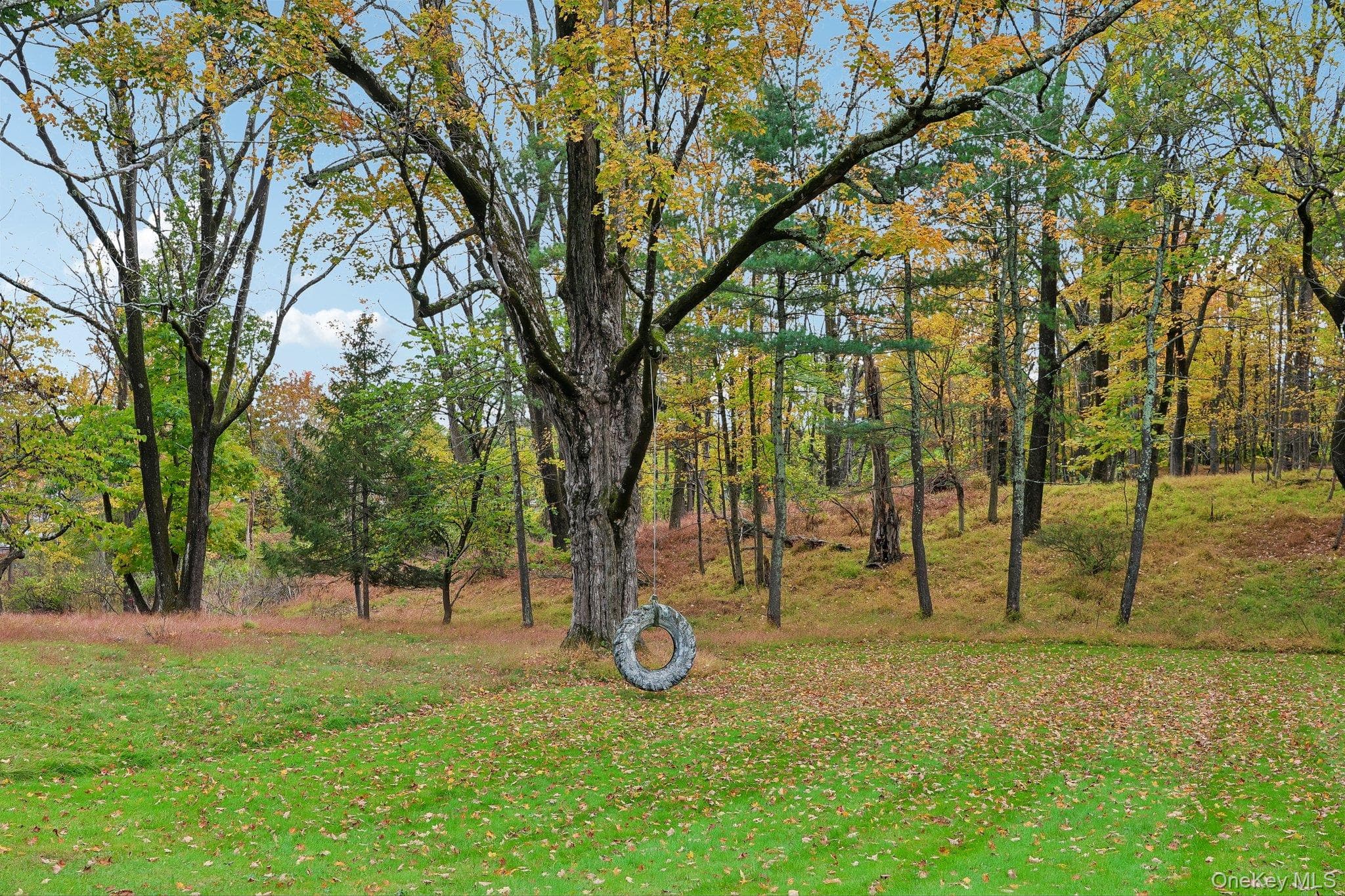59 Webb Road thumbnail 47