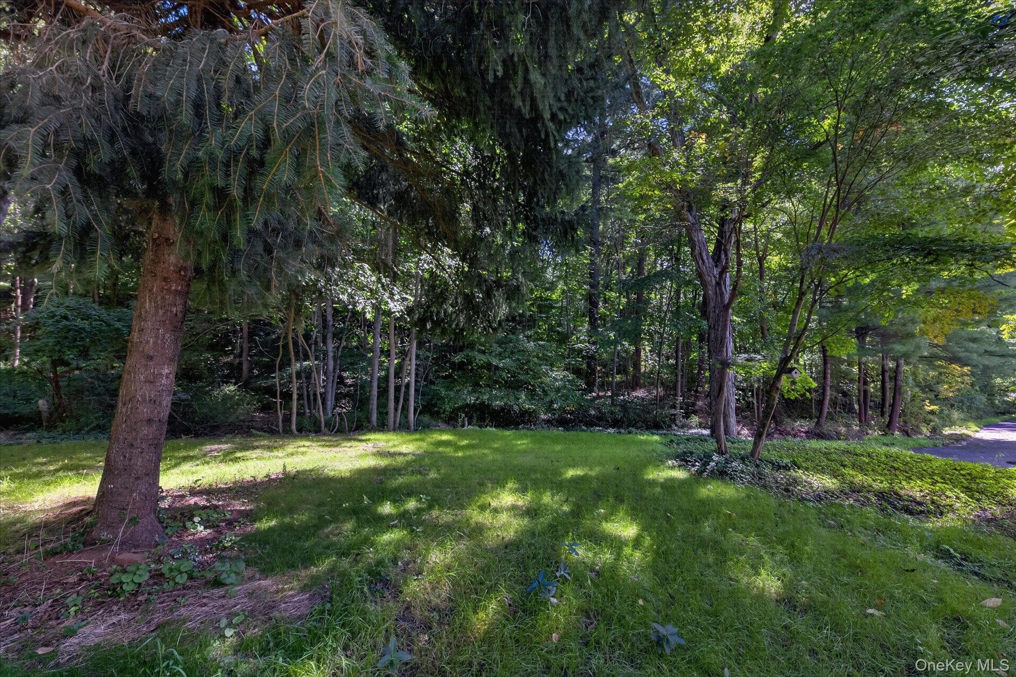 109 Pines Bridge Road thumbnail 39