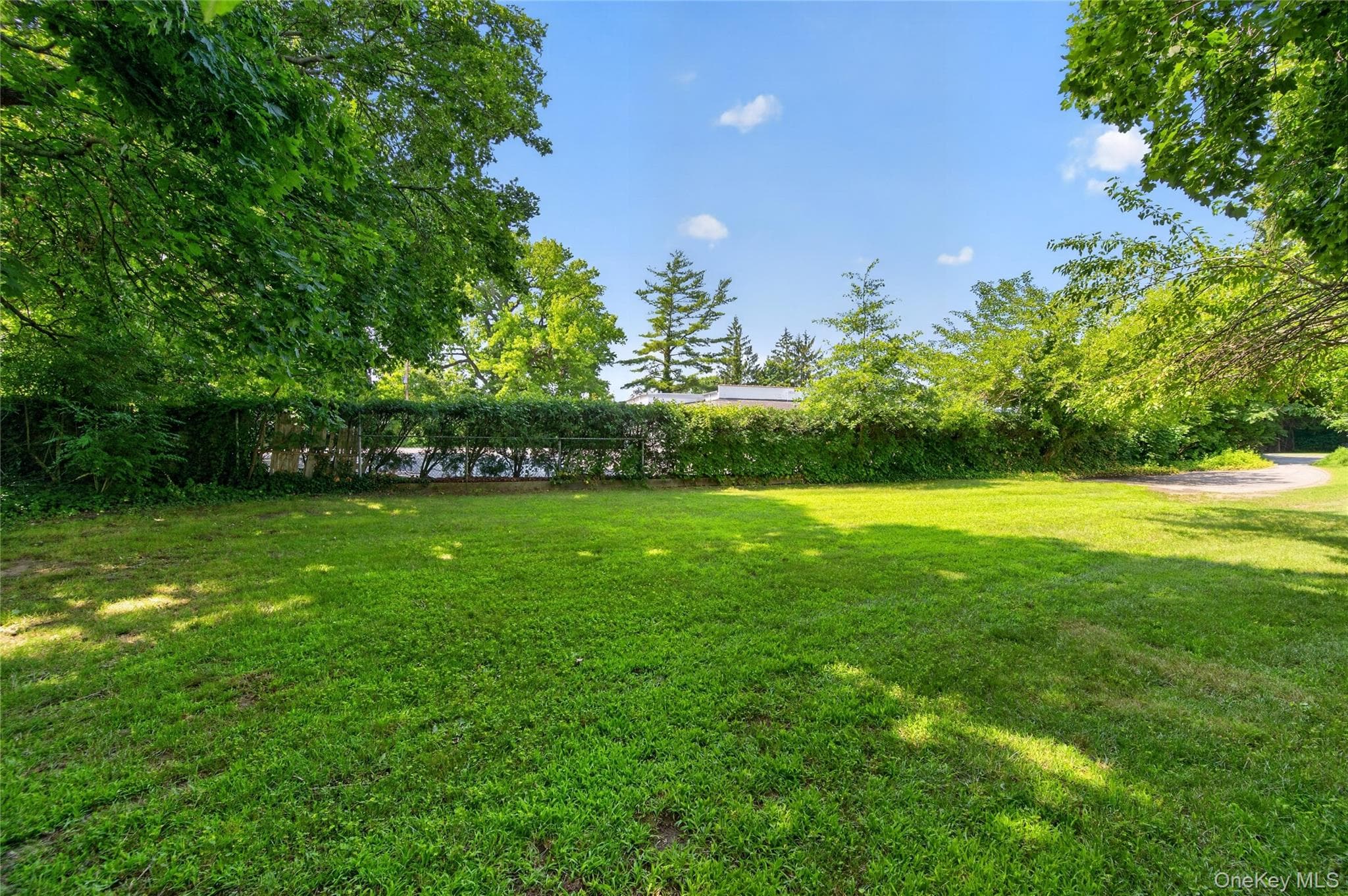 143 Searingtown Road thumbnail 7