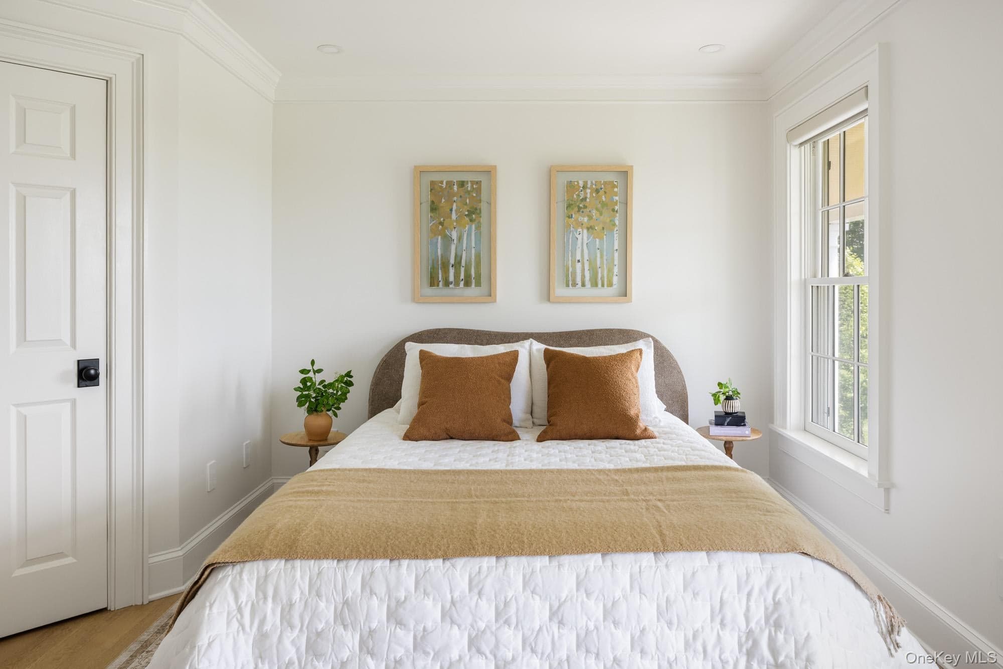 189 Sutherland Road thumbnail 17