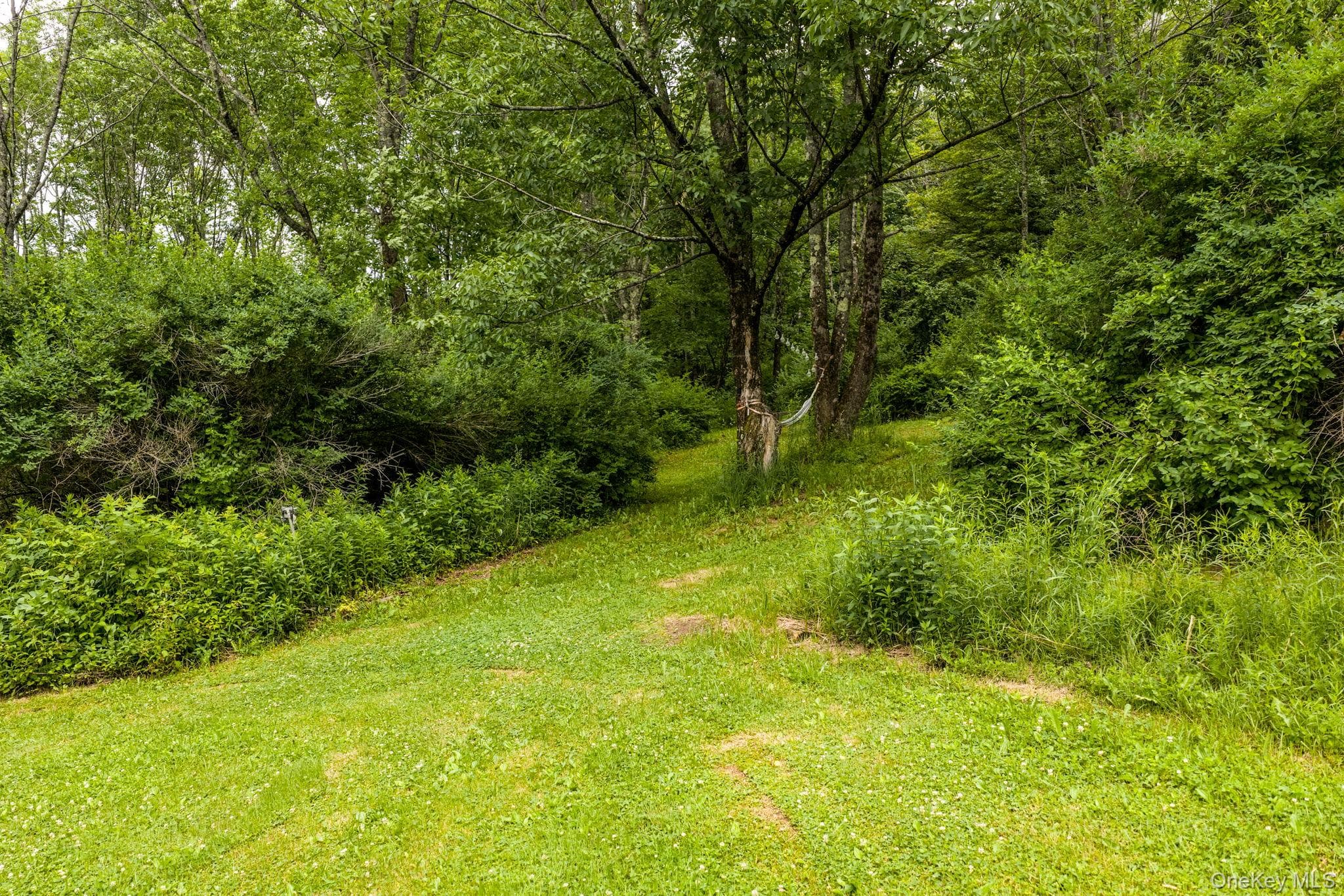 673 Hessinger And Lare Road thumbnail 37
