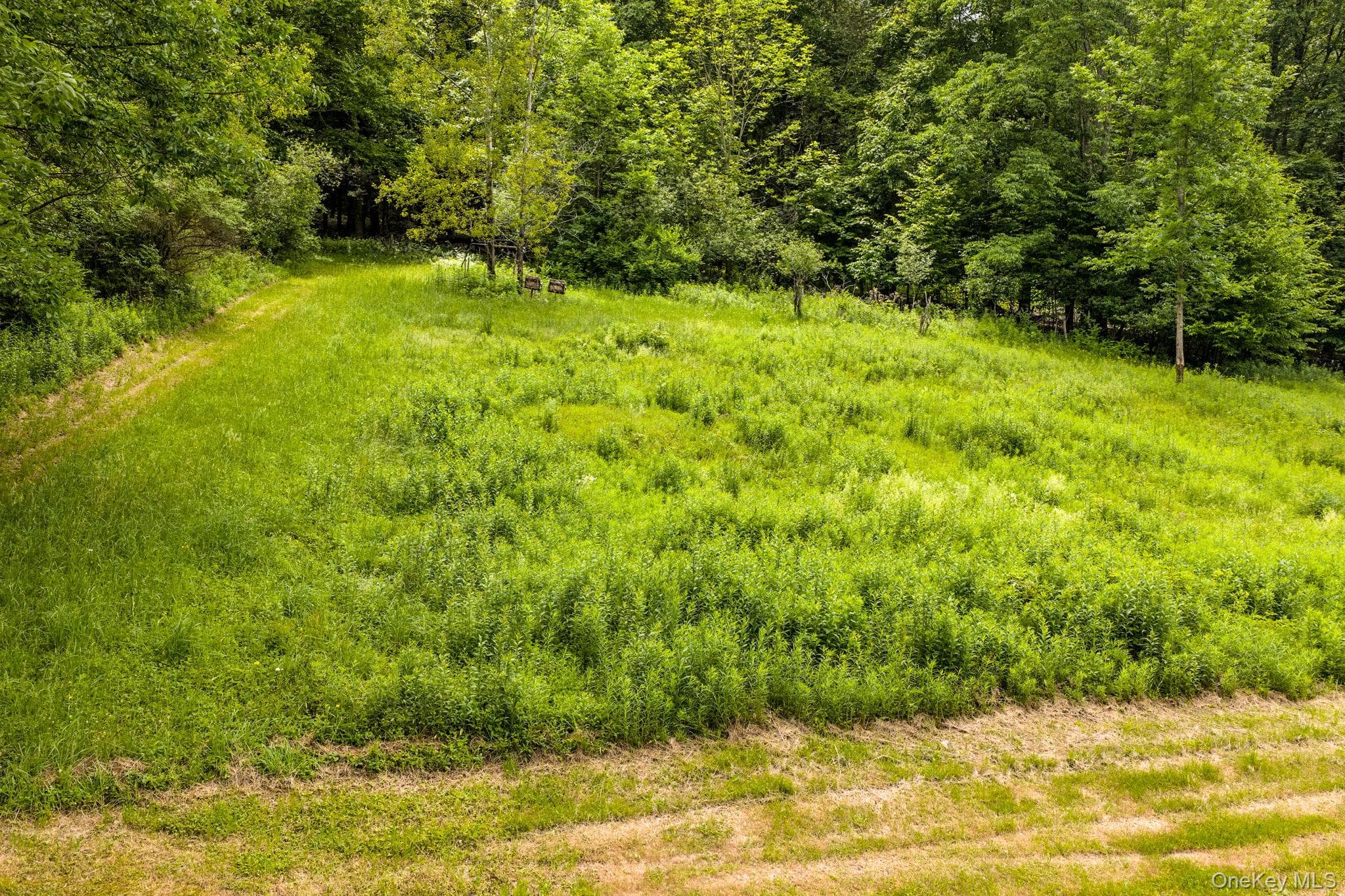 673 Hessinger And Lare Road thumbnail 39