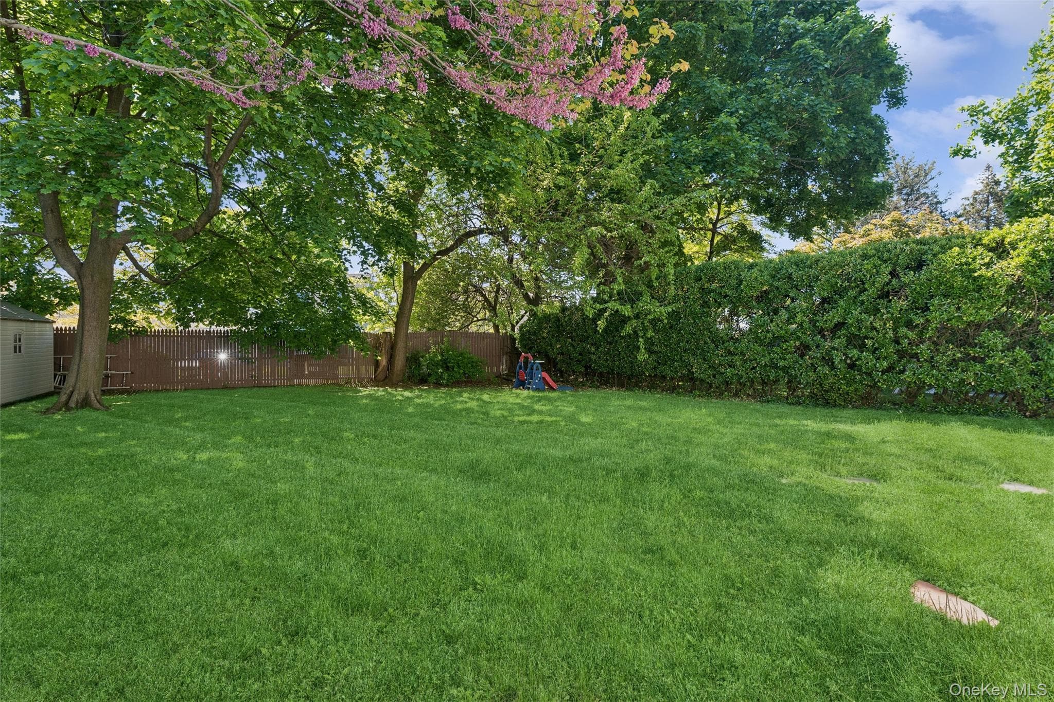 163 Beech Street thumbnail 28
