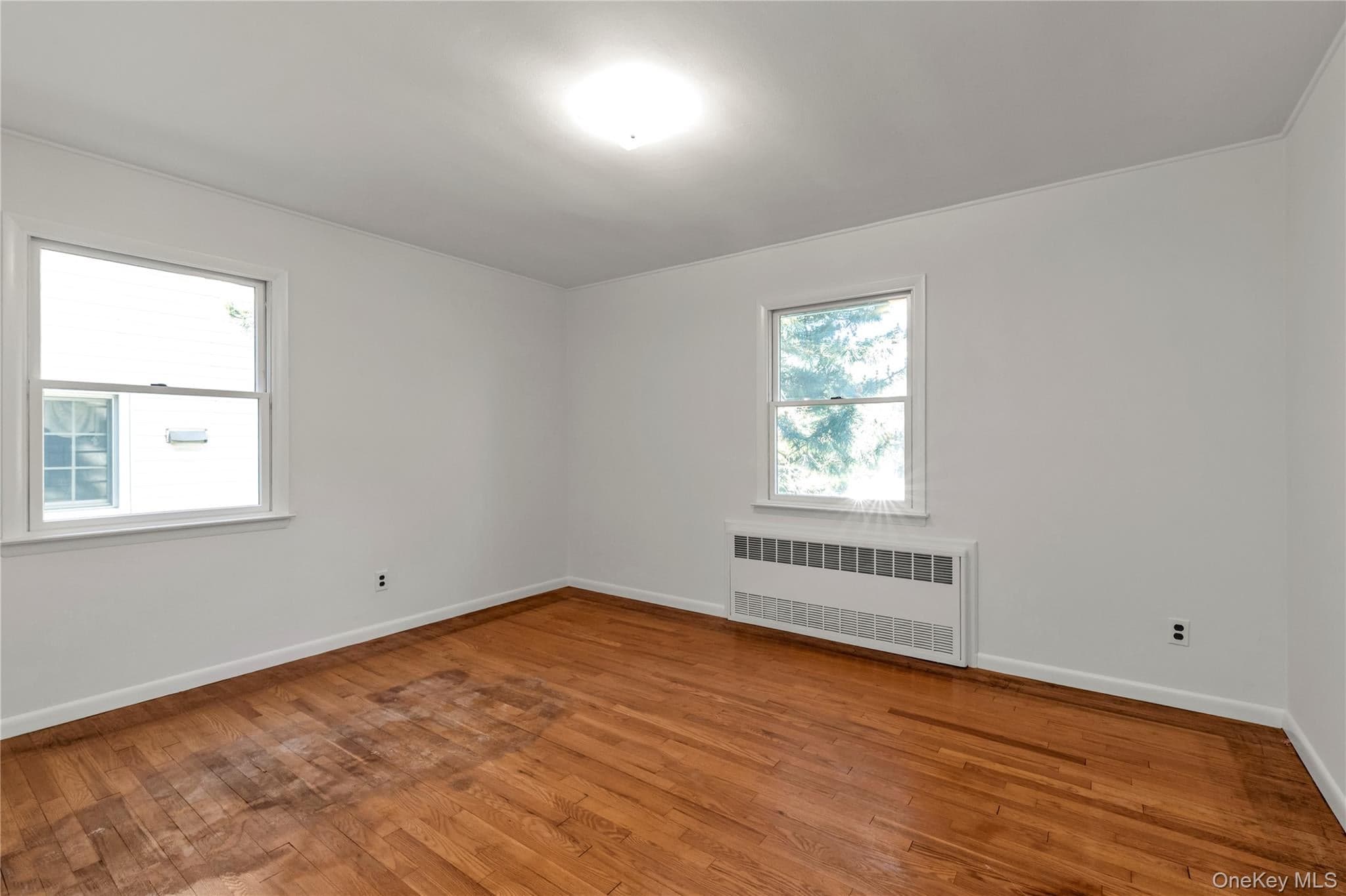 65 Grant Avenue thumbnail 14