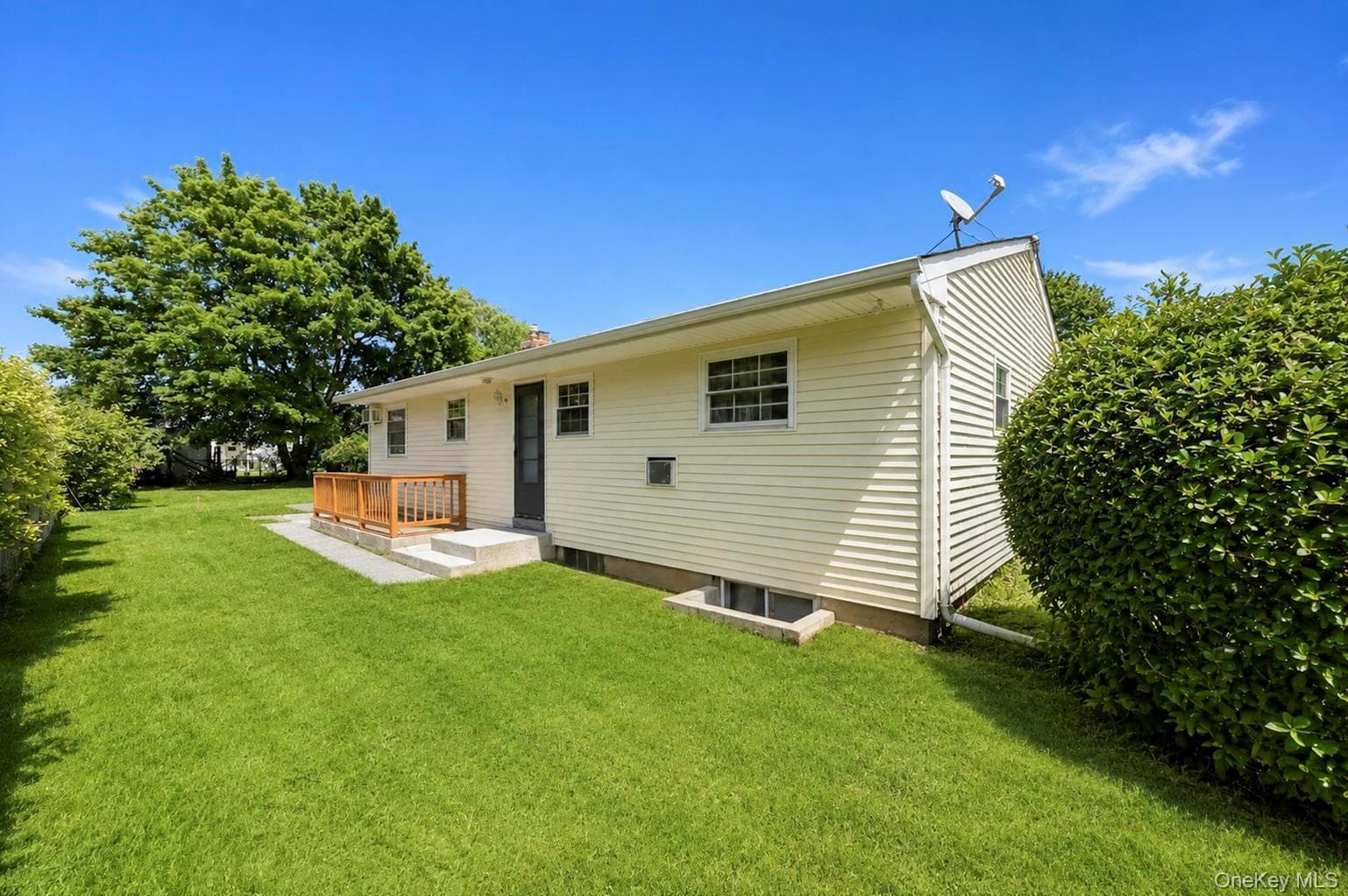 46 Marshall Avenue thumbnail 6
