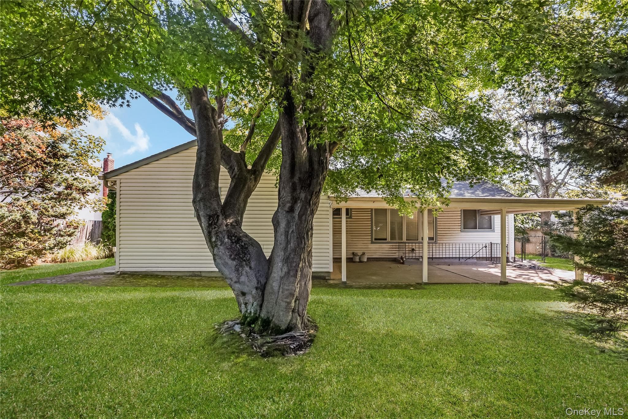 52 Voorhis Drive thumbnail 38