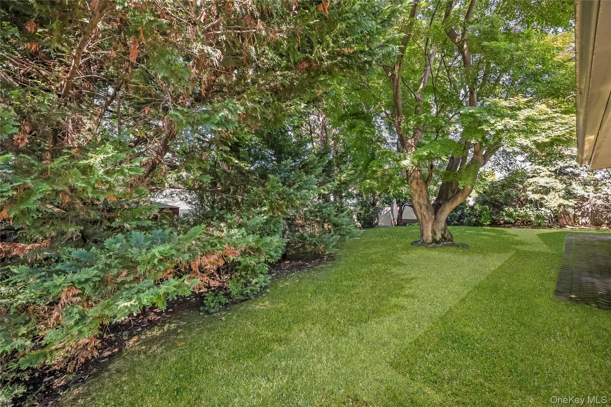 52 Voorhis Drive thumbnail 40