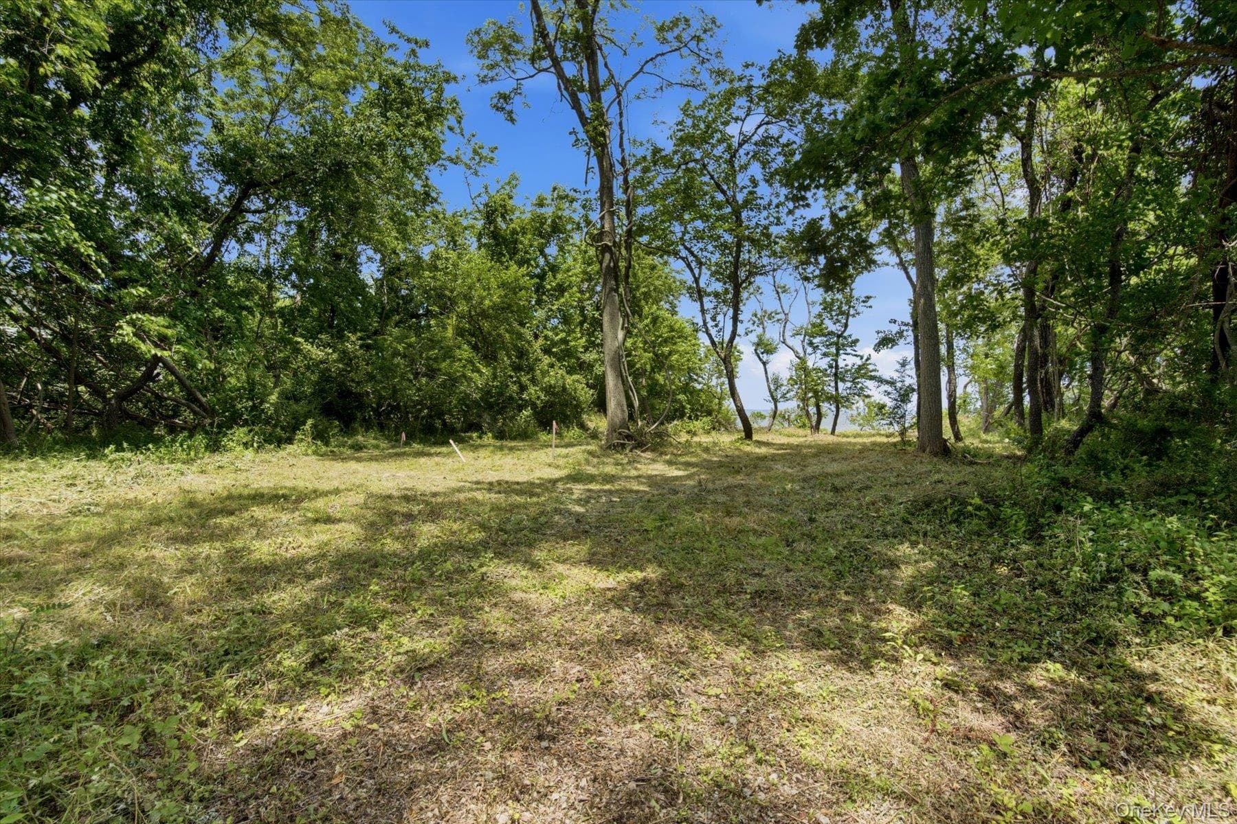 75 Pettys Drive thumbnail 16
