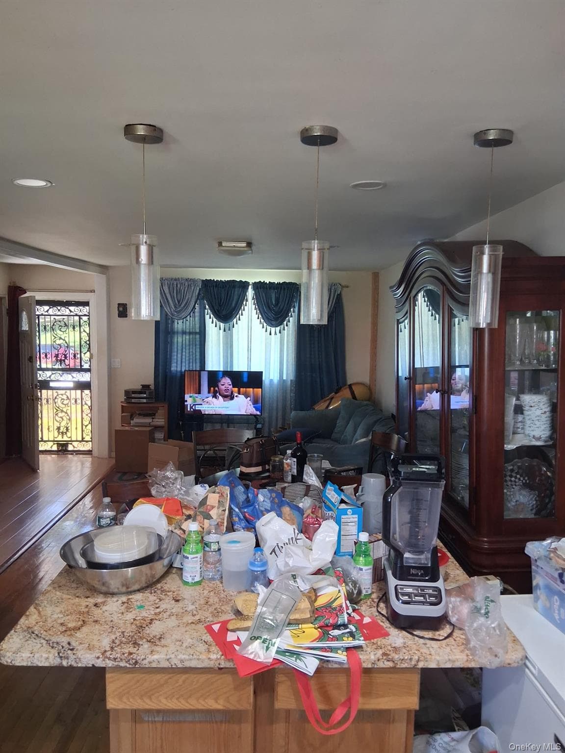 1131 Grenada Place thumbnail 5