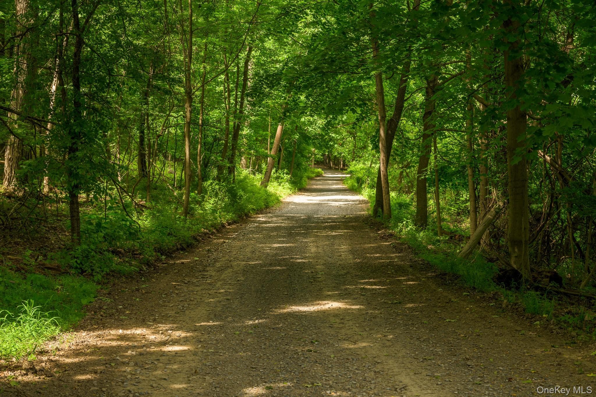 1530 River Road thumbnail 2
