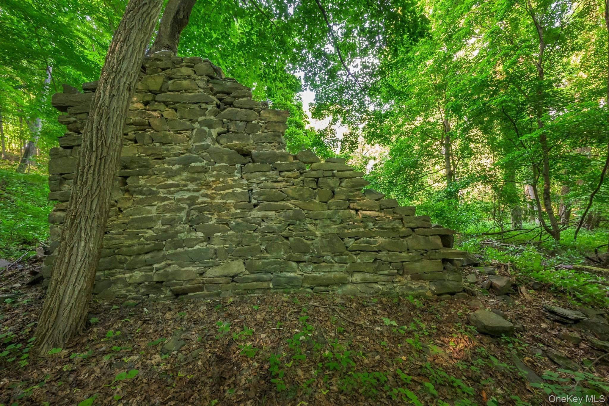 1530 River Road thumbnail 26