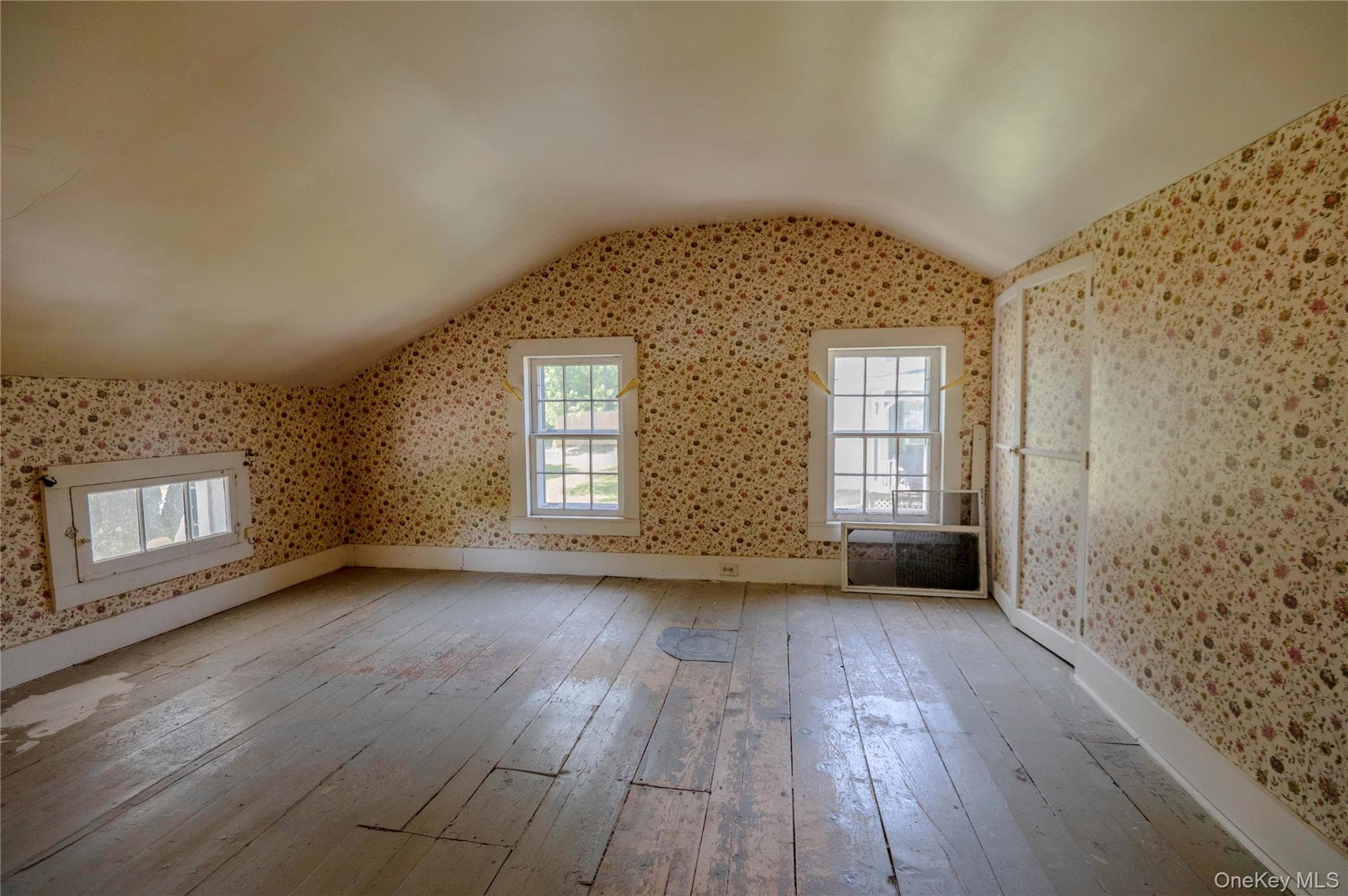 1402 Albany Avenue thumbnail 23