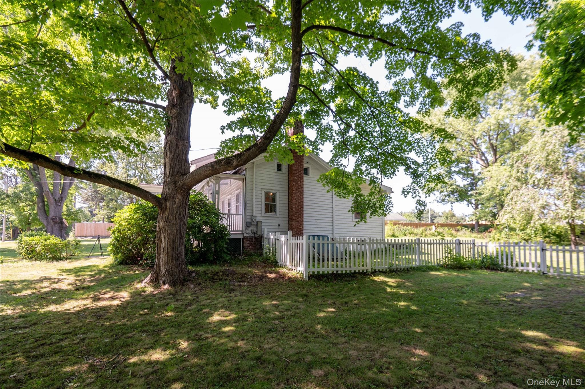 1402 Albany Avenue thumbnail 5