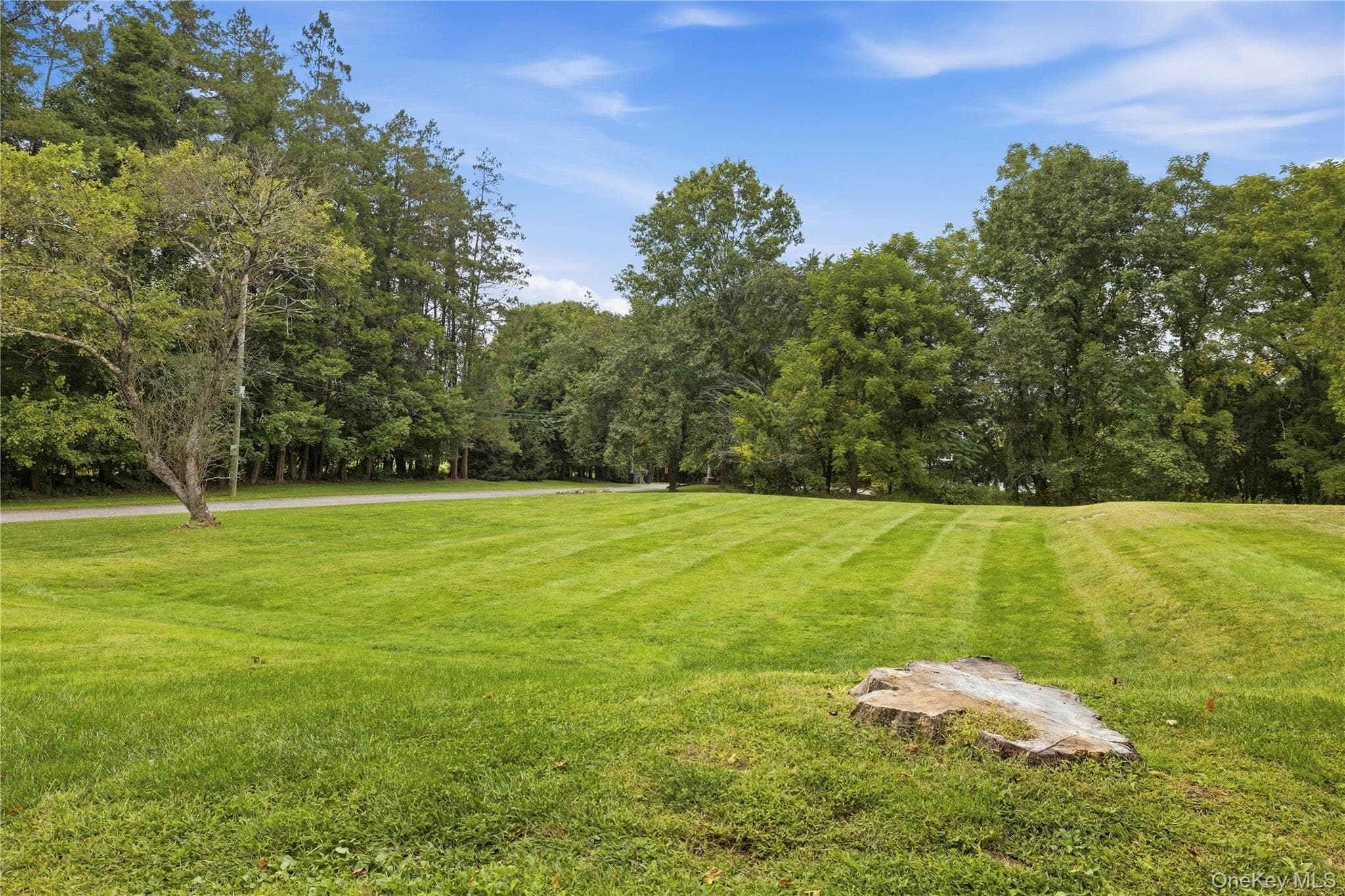600 Bedford Road thumbnail 35