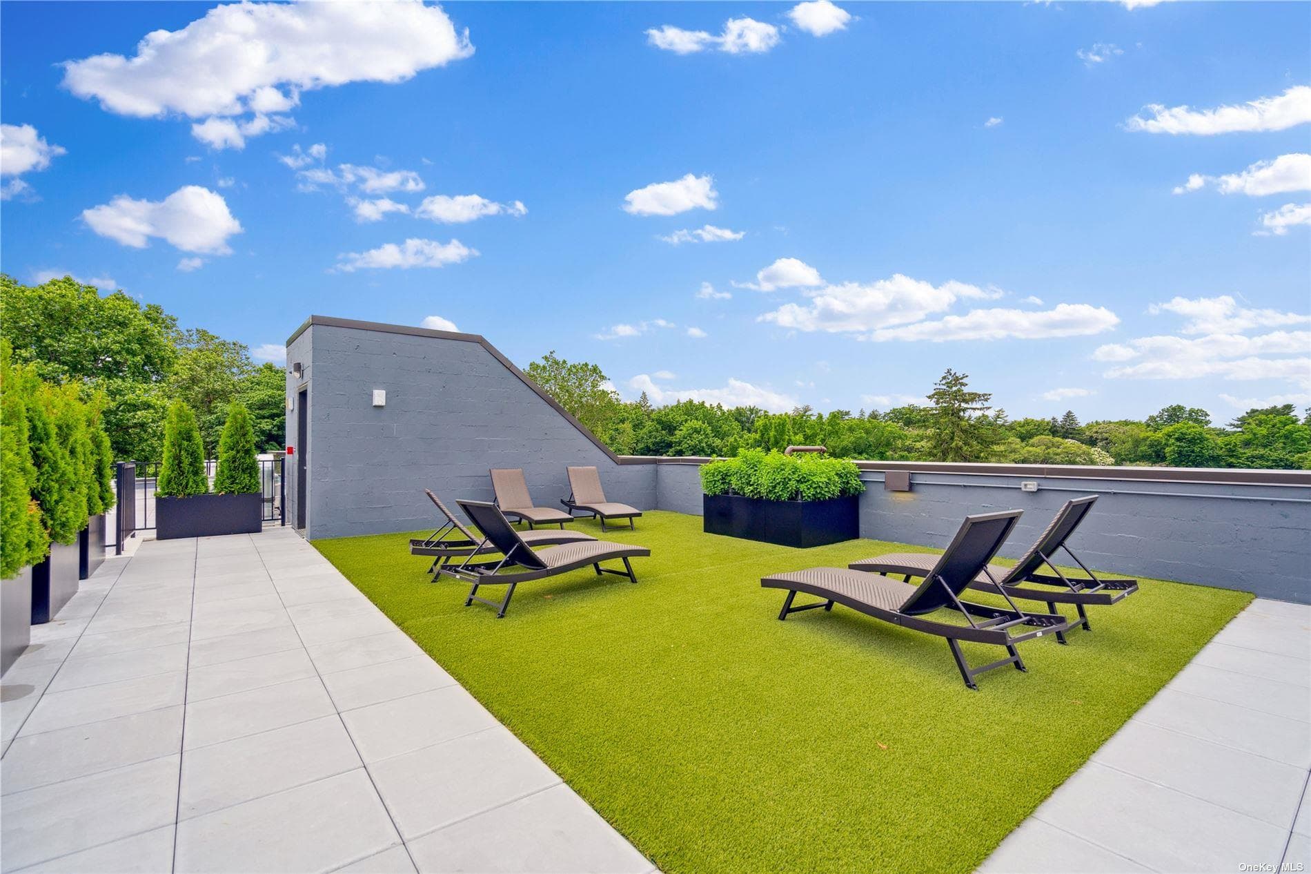 218 Middle Neck Road Unit: 202 thumbnail 22