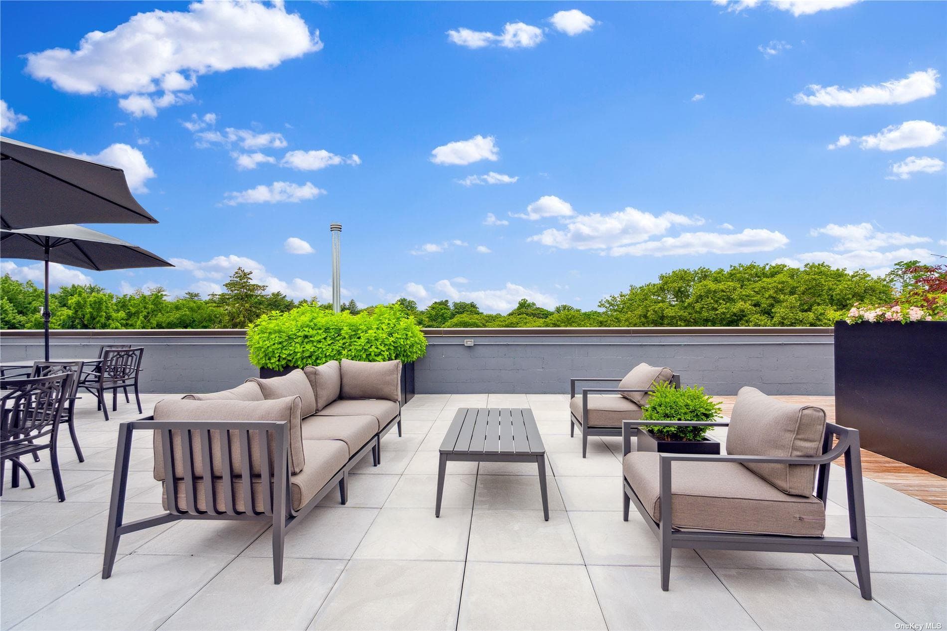 218 Middle Neck Road Unit: 202 thumbnail 20
