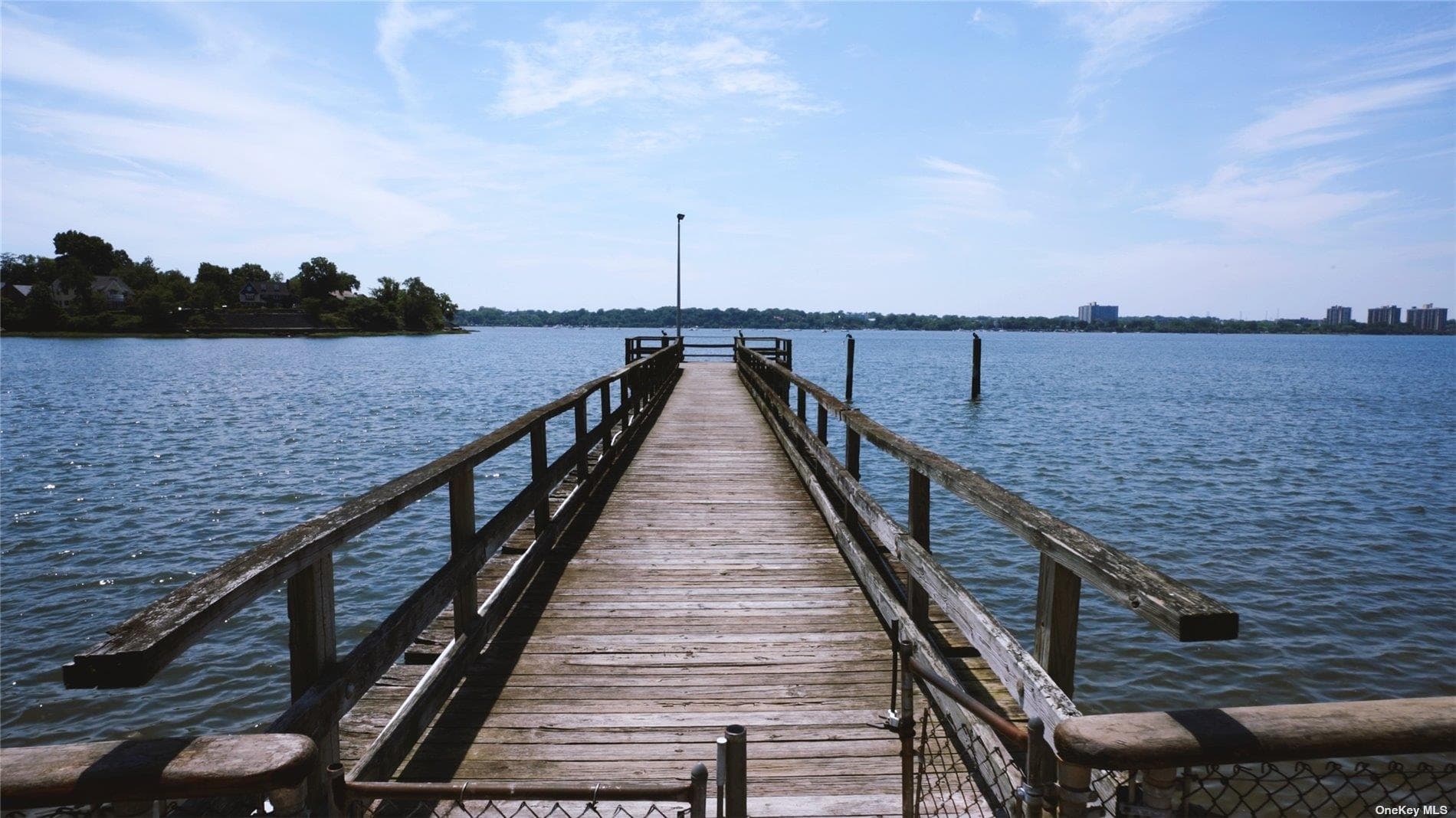 218 Middle Neck Road Unit: 202 thumbnail 35