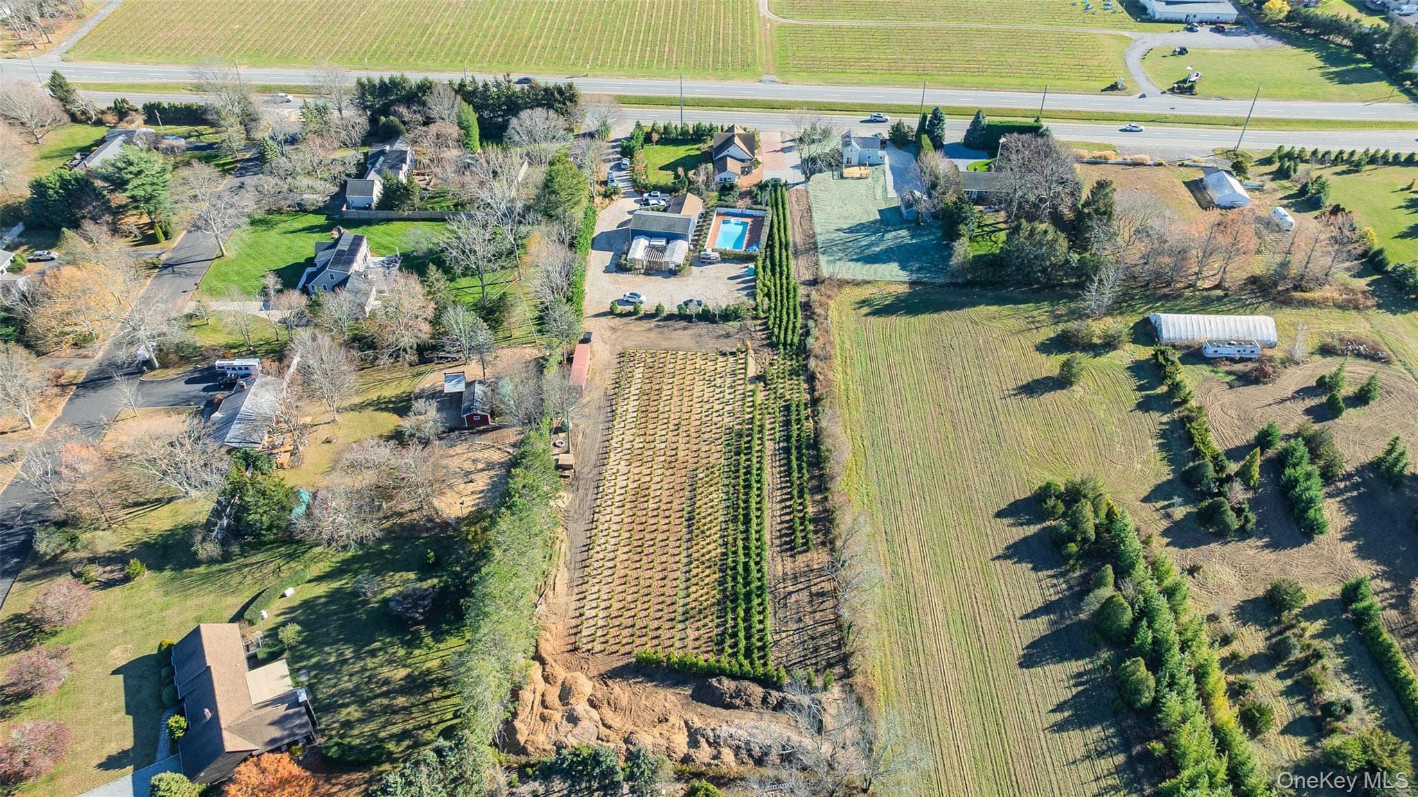 17525 County Road 48 thumbnail 10