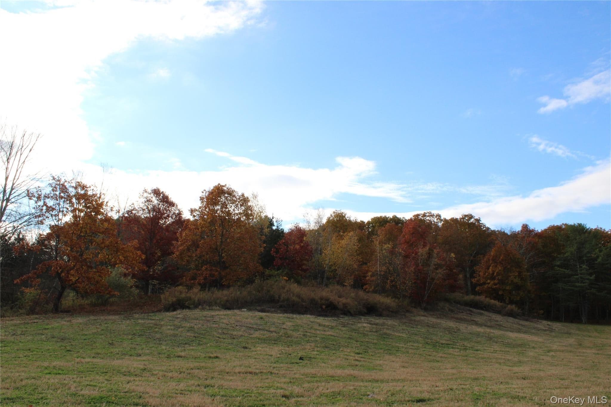 Round Lake Road thumbnail 3