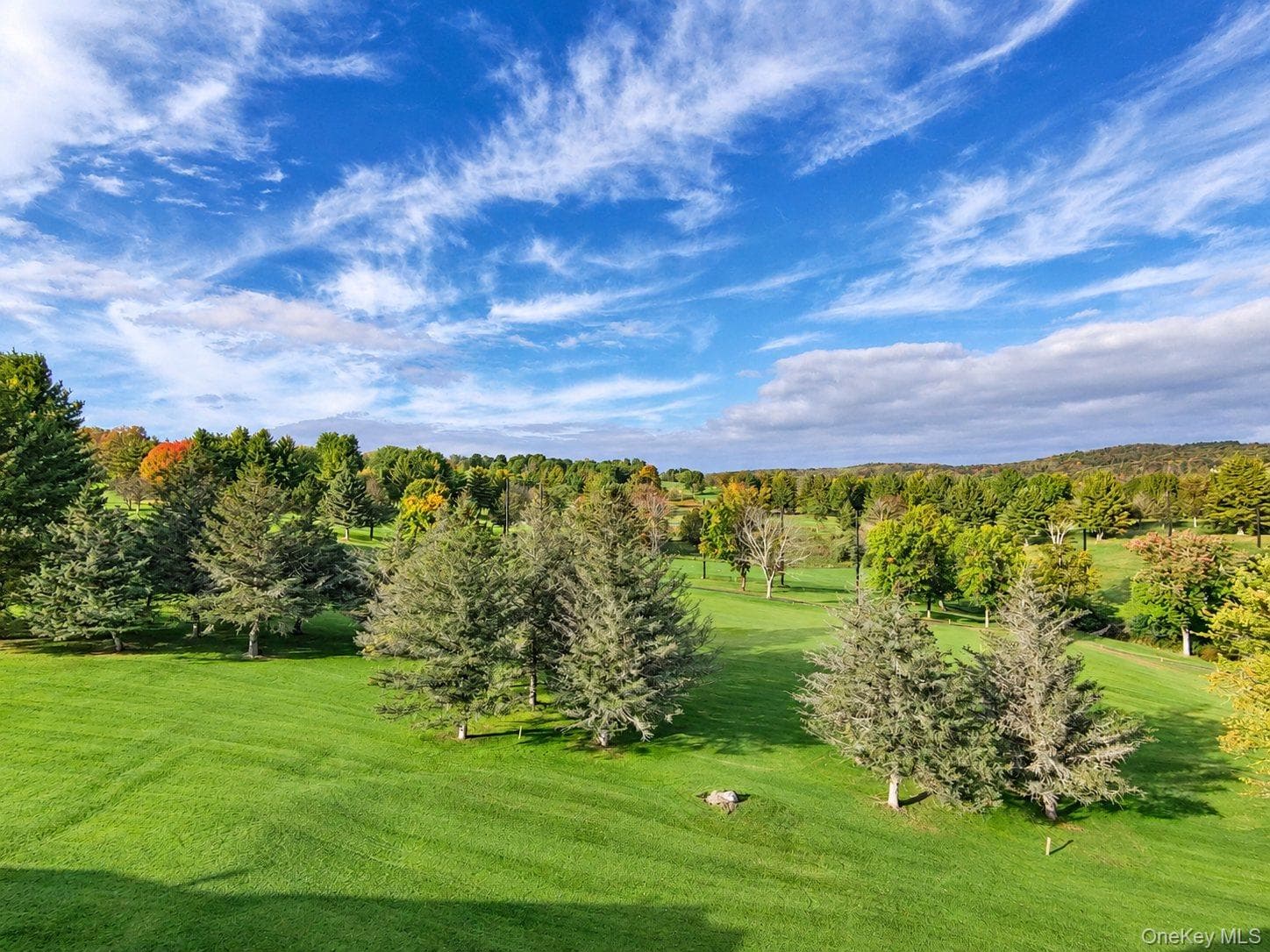 432 Villa Roma Road Unit: 2A thumbnail 7