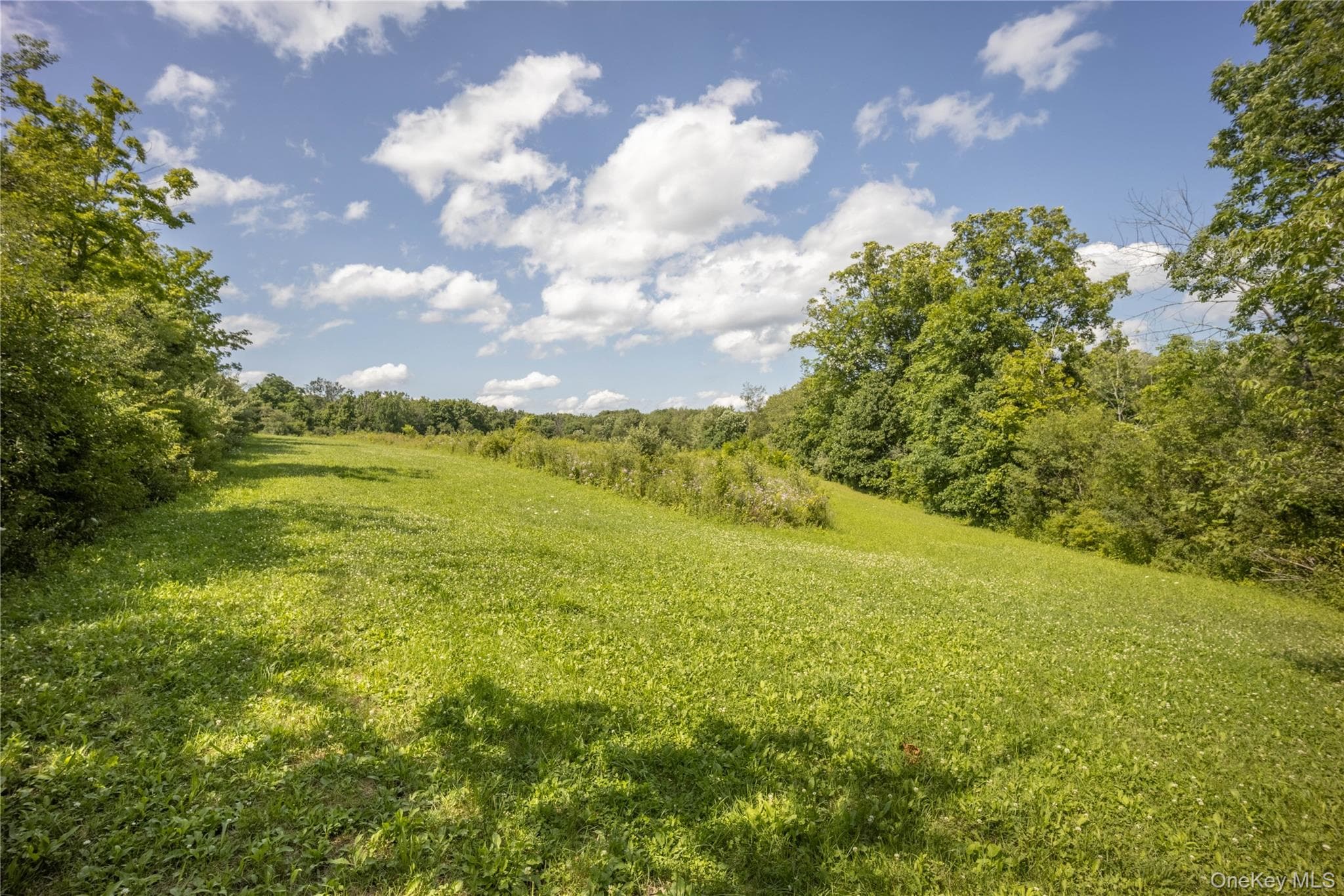 147 Lauer Road thumbnail 24