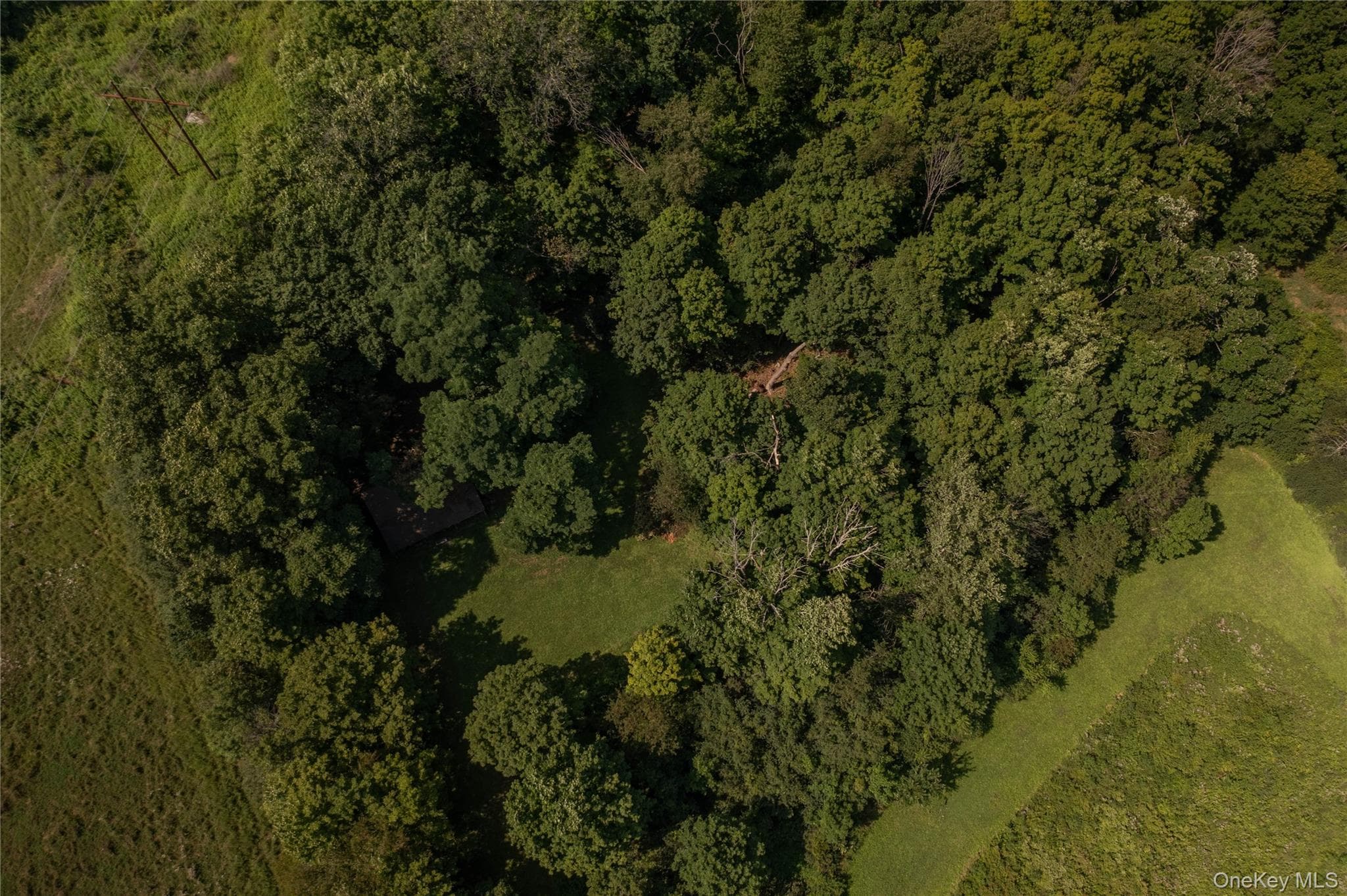 147 Lauer Road thumbnail 19