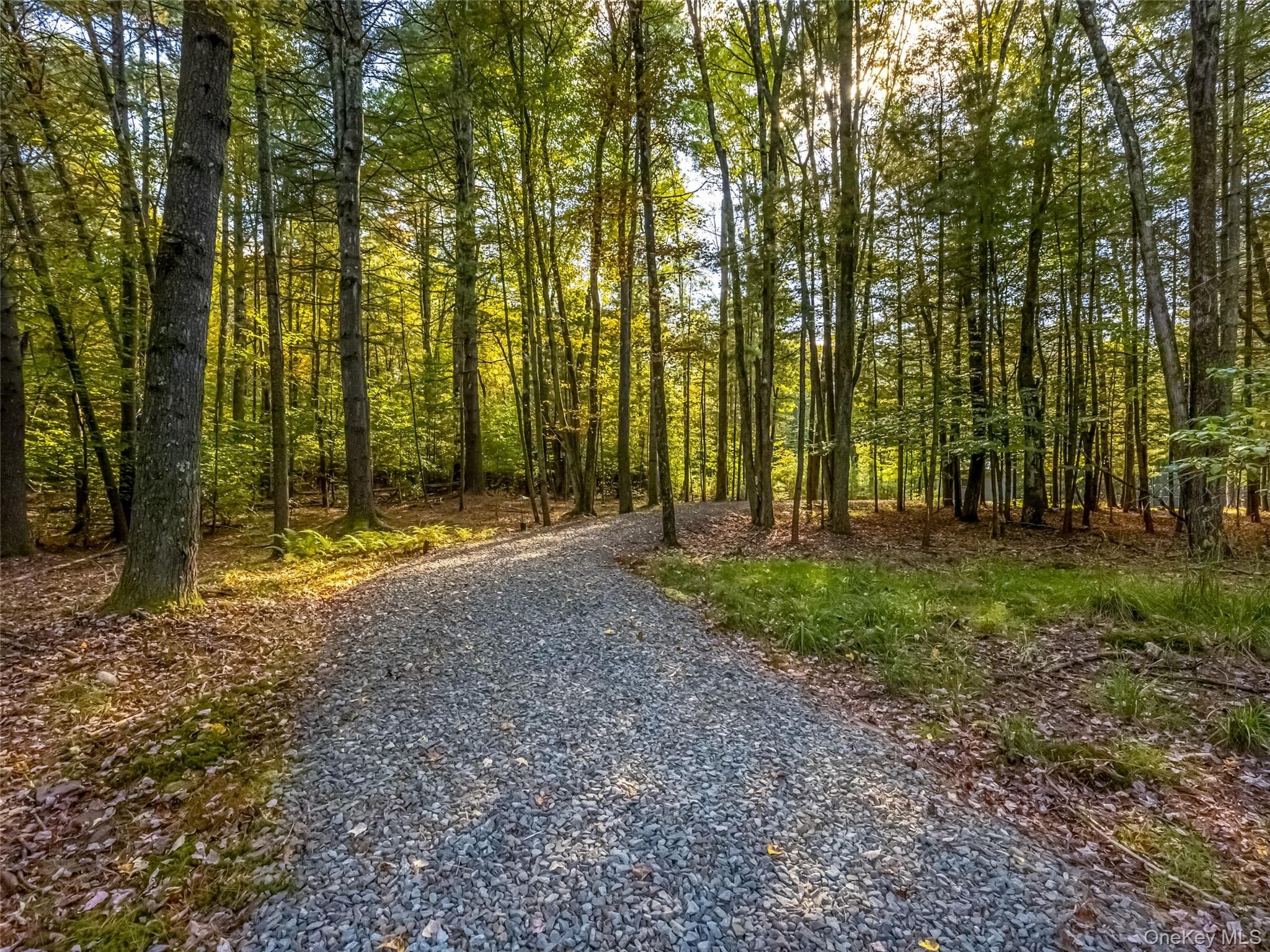 61 Top Ridge Trail thumbnail 46