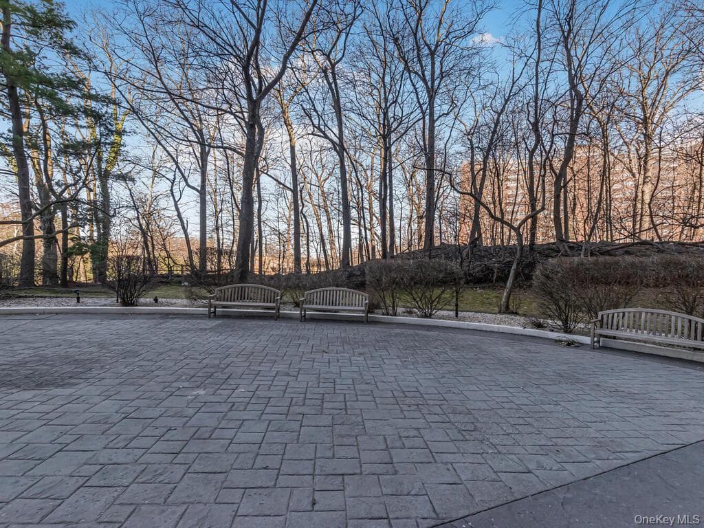 3935 Blackstone Avenue Unit: 8A thumbnail 11