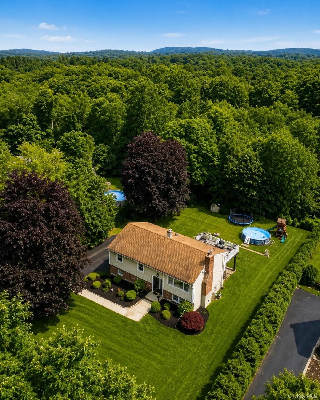 63 Dixon Road thumbnail 7