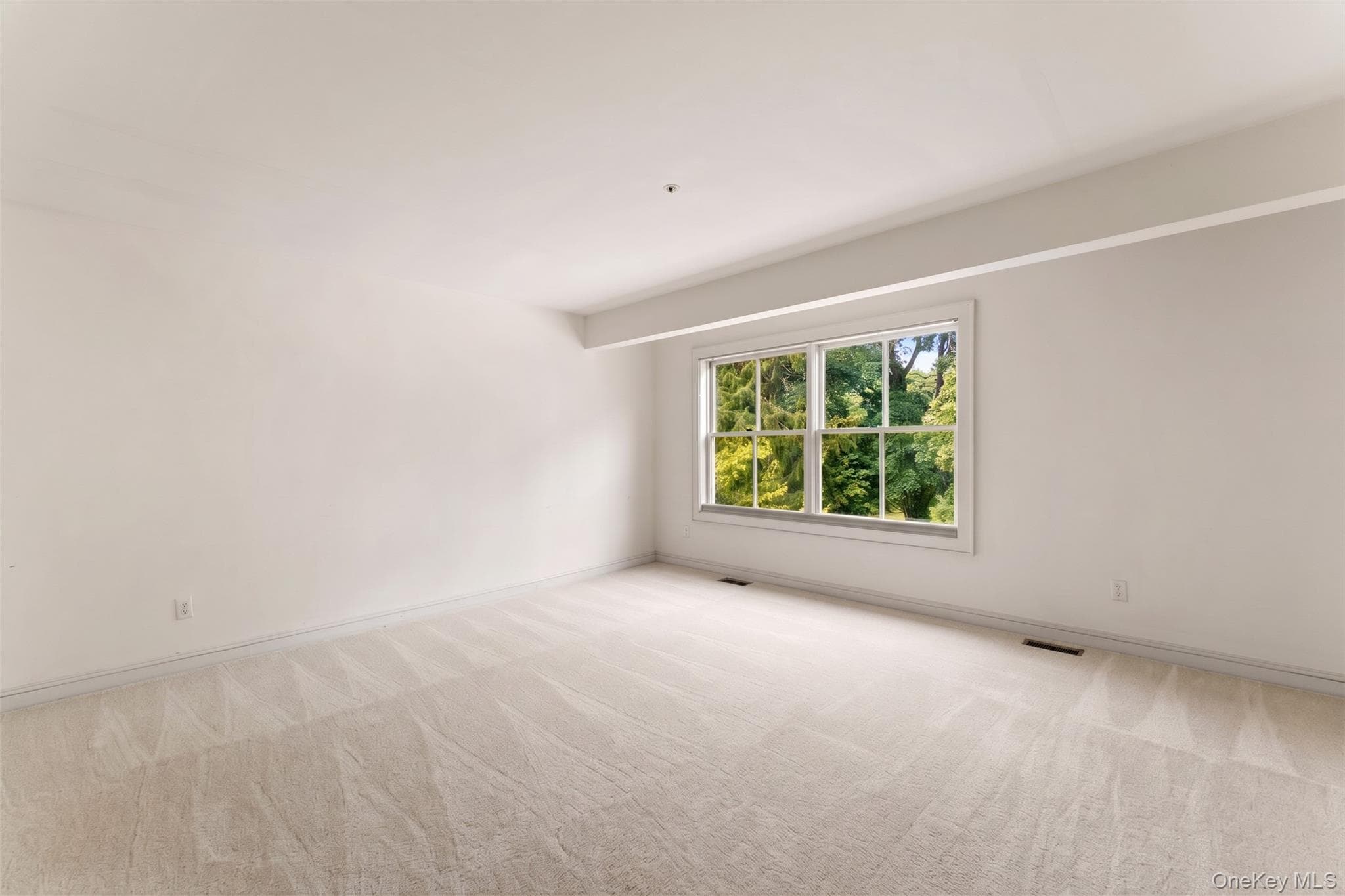 27 N Buckhout Street Unit: 10 thumbnail 17
