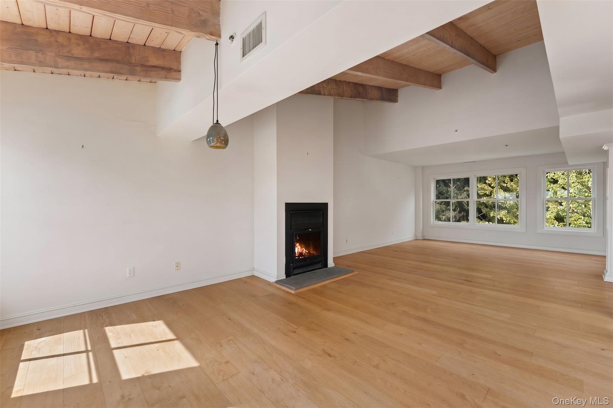 27 N Buckhout Street Unit: 10 thumbnail 11