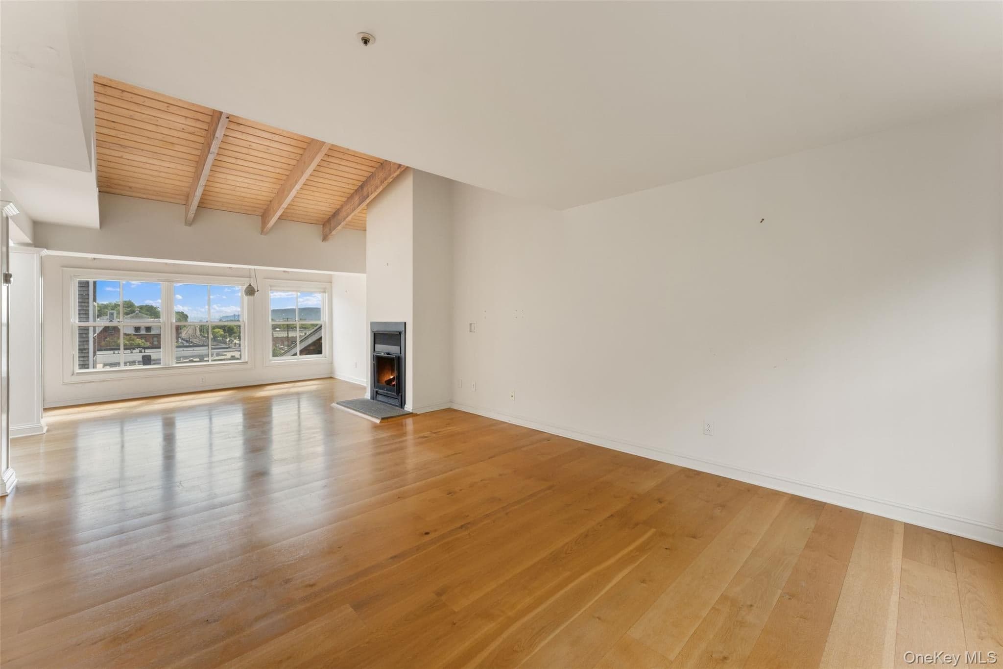 27 N Buckhout Street Unit: 10 thumbnail 13