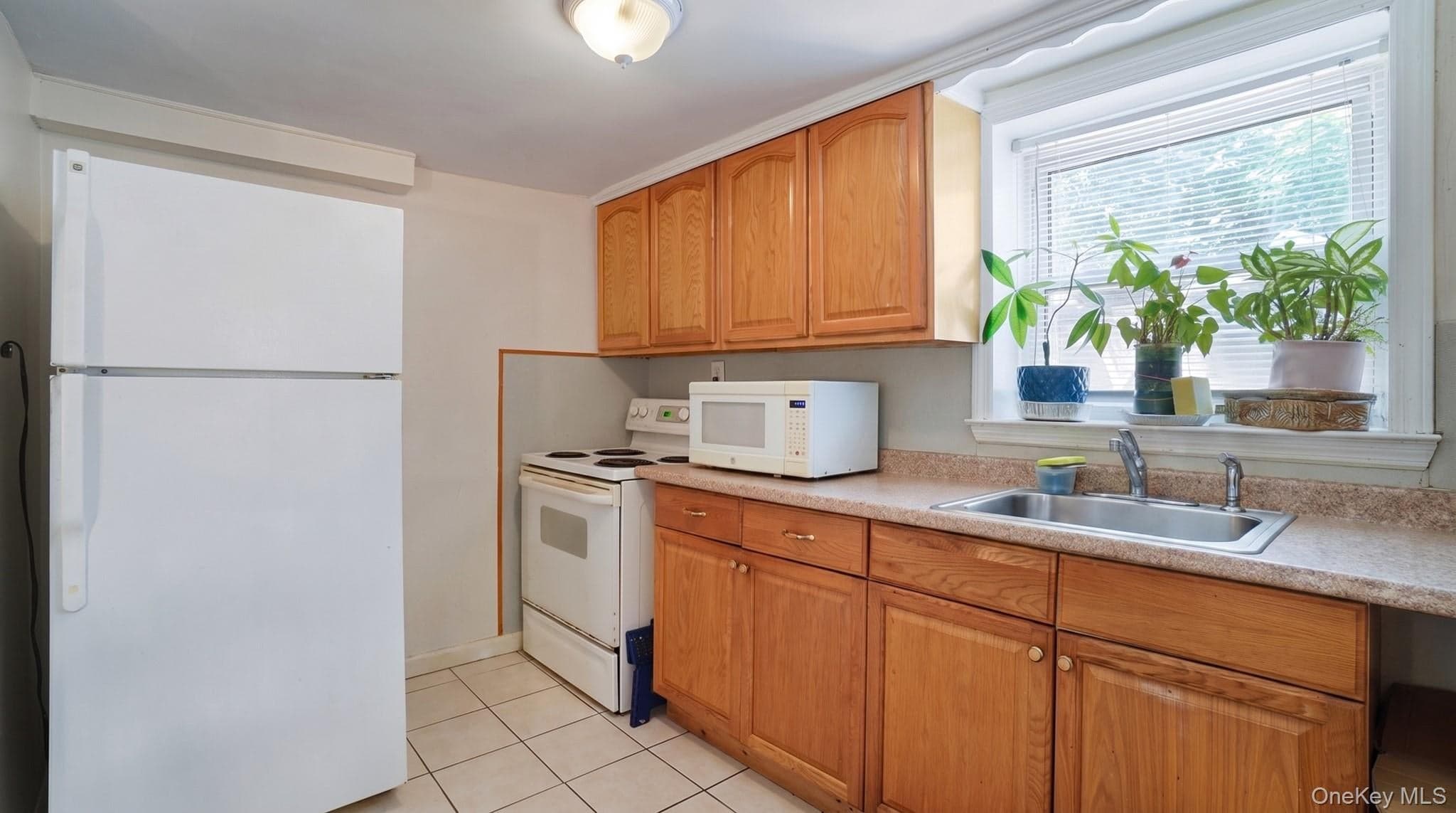 18 Edgewood Avenue thumbnail 21
