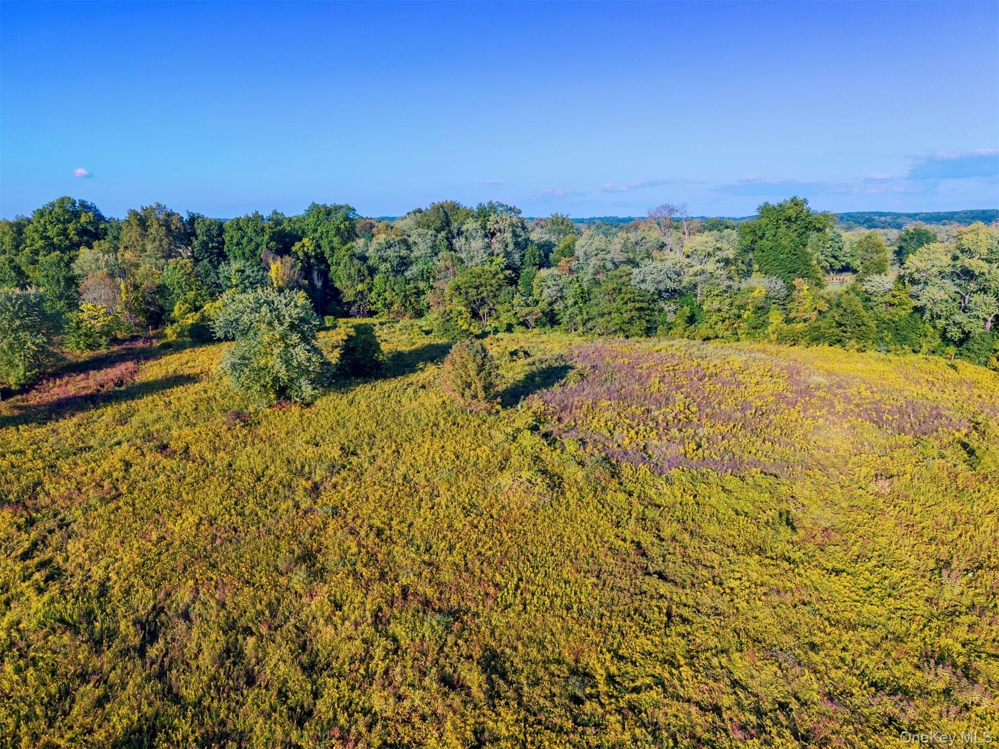 220 Sawkill Road thumbnail 18