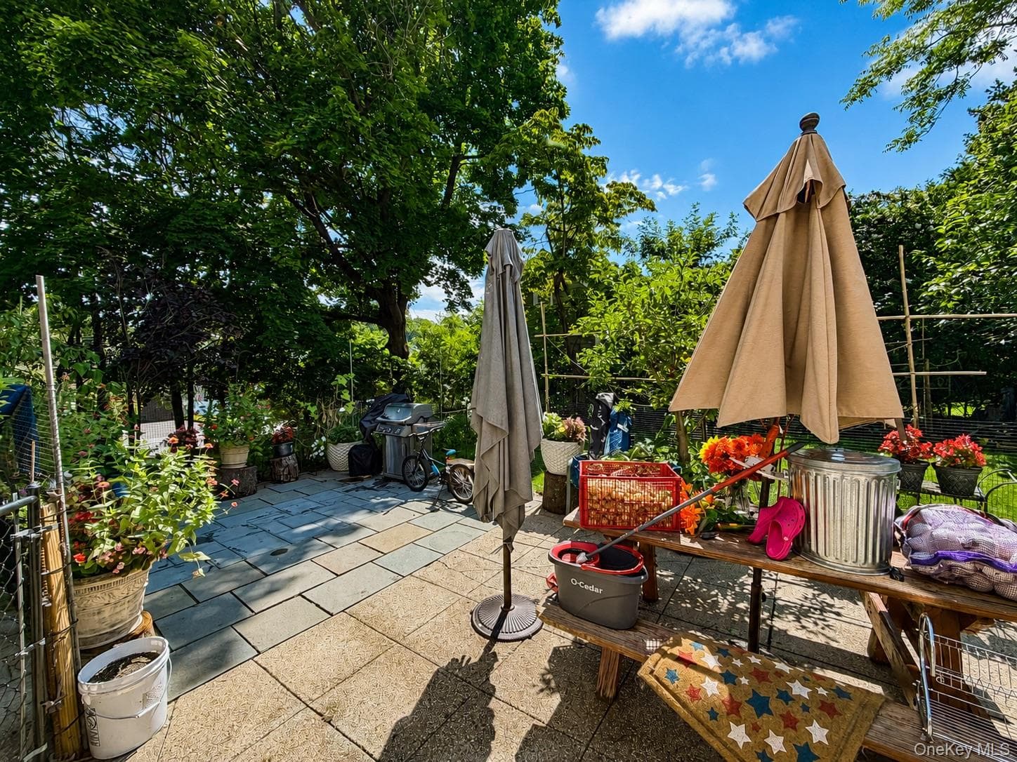 286 Eastchester Road thumbnail 15