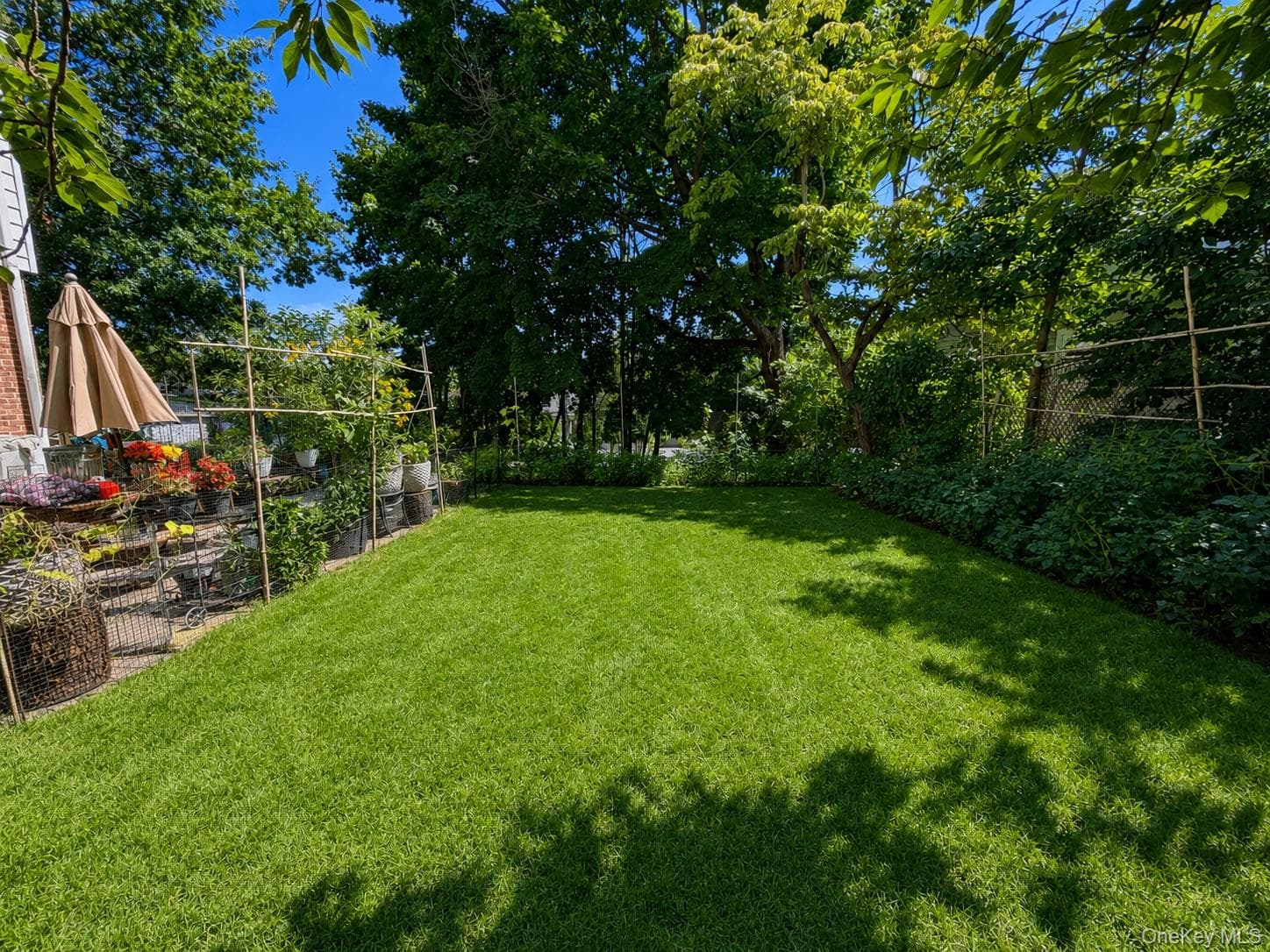 286 Eastchester Road thumbnail 18