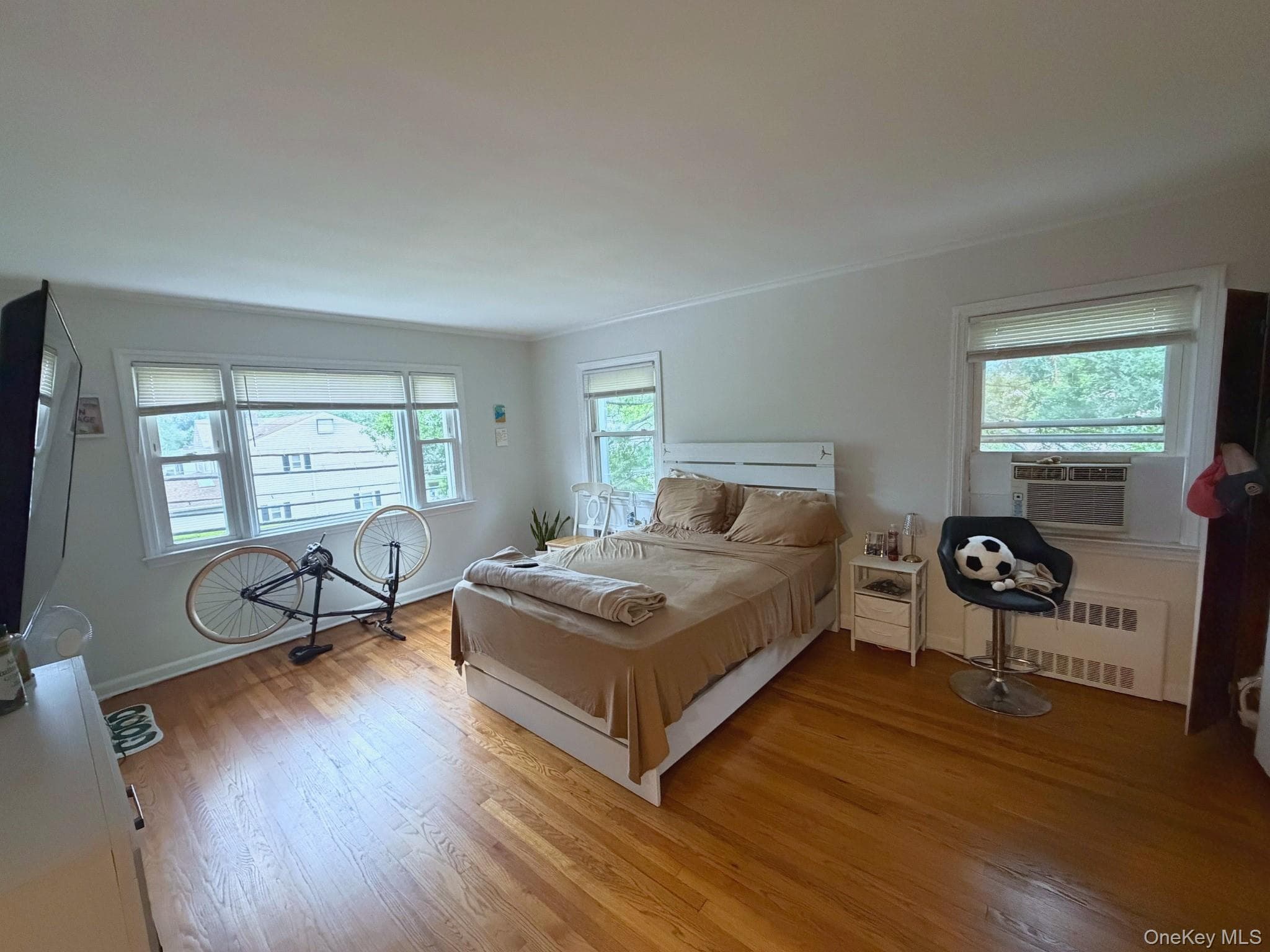 286 Eastchester Road thumbnail 3