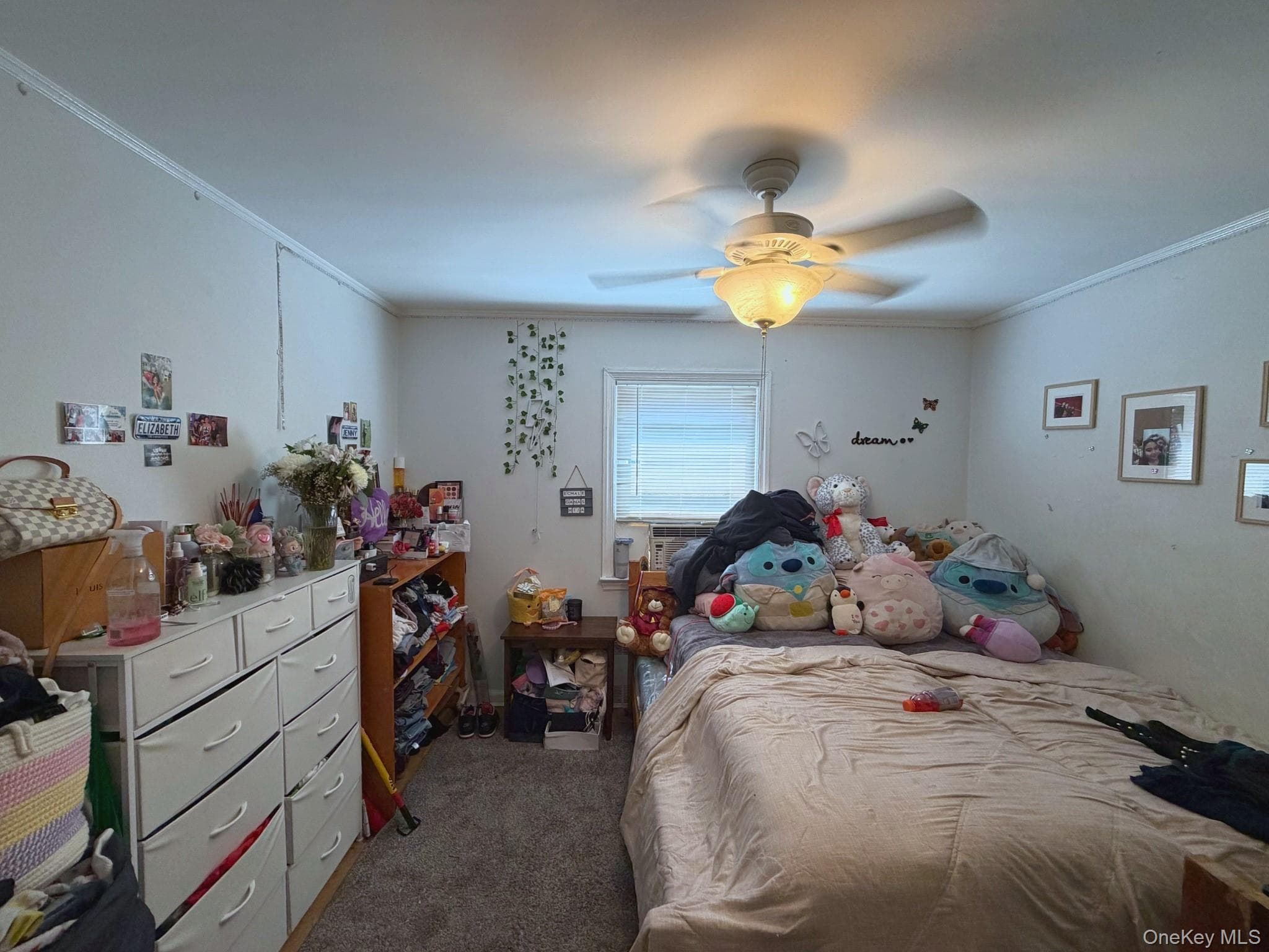 286 Eastchester Road thumbnail 9