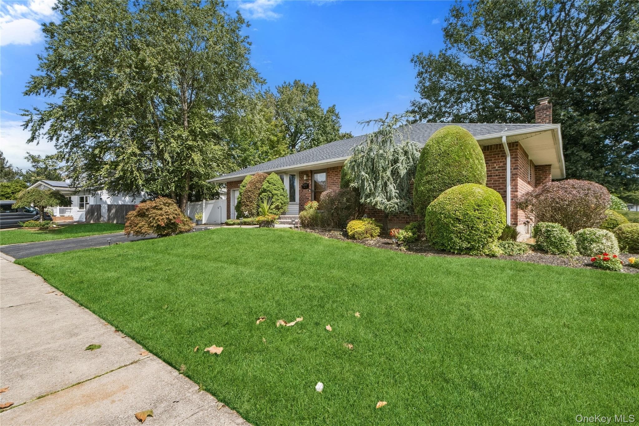 15 Elmwood Lane thumbnail 28