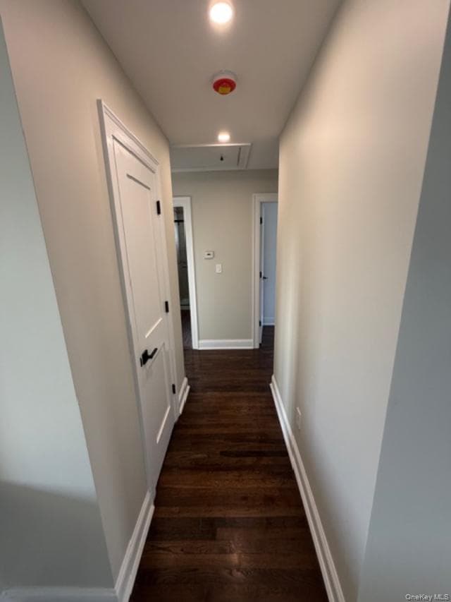 62 E 1st Street thumbnail 11