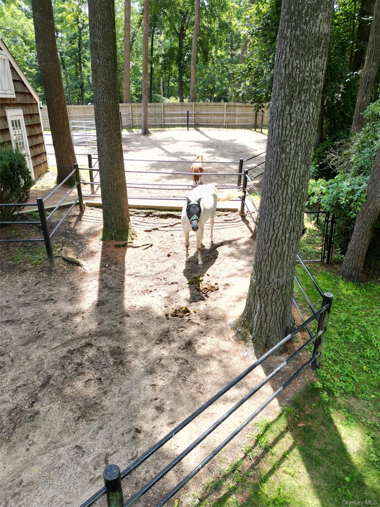 1846 Muttontown Road thumbnail 29