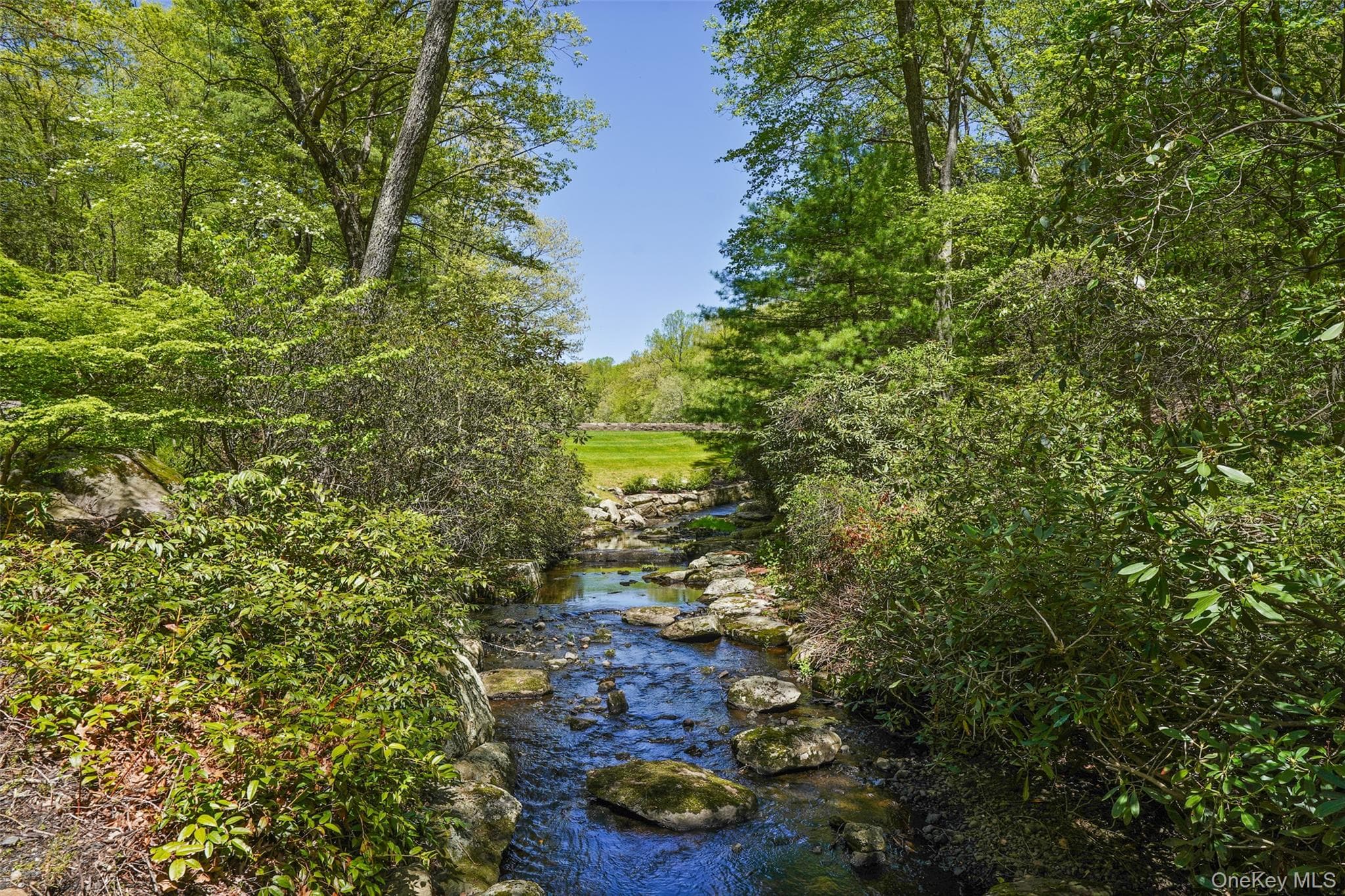 164 Eastwoods Road thumbnail 45
