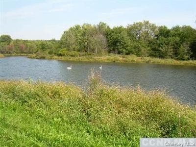 County Route 19 thumbnail 4