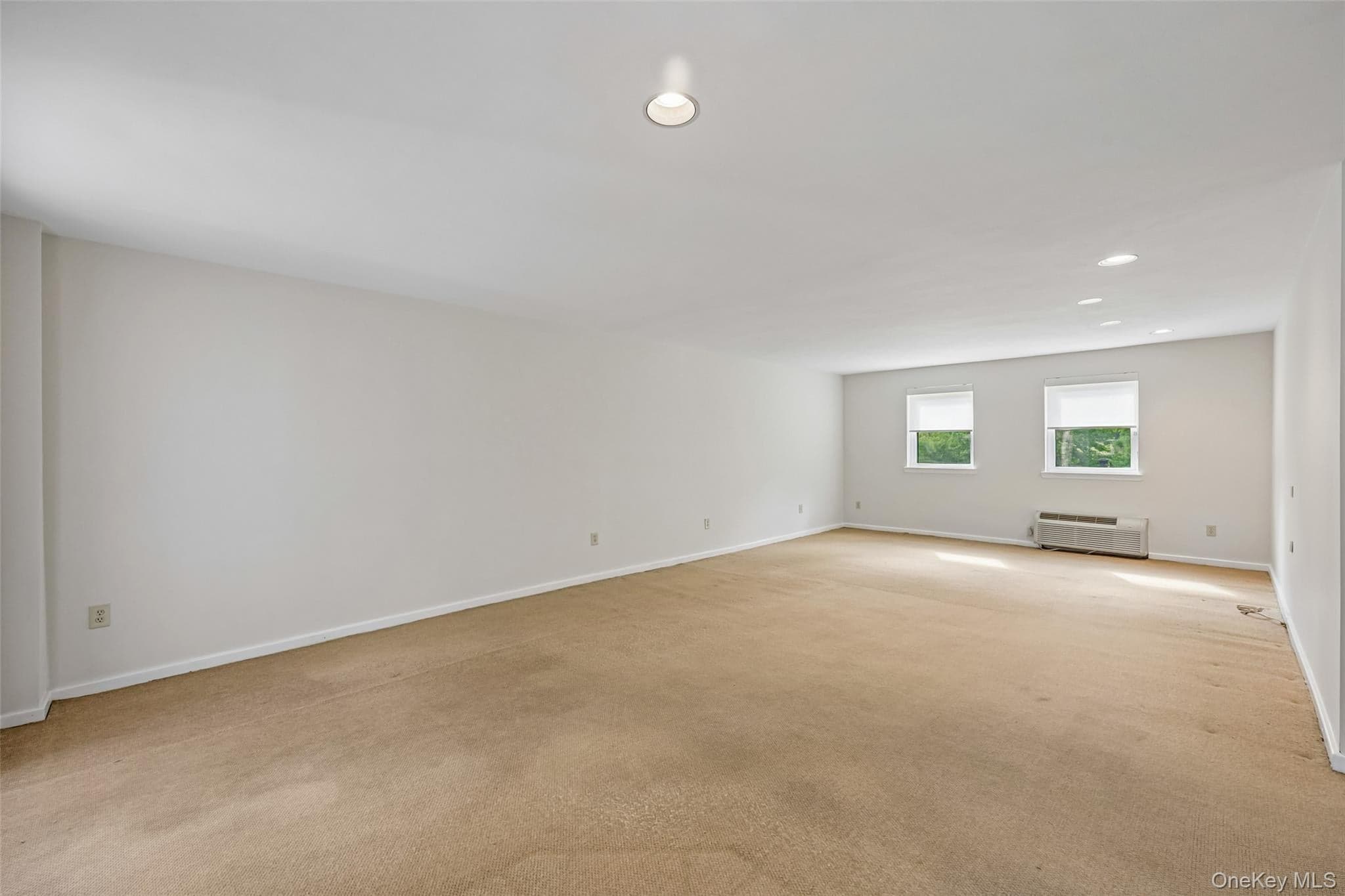 1331 Broadway Unit: P 10/11 thumbnail 20