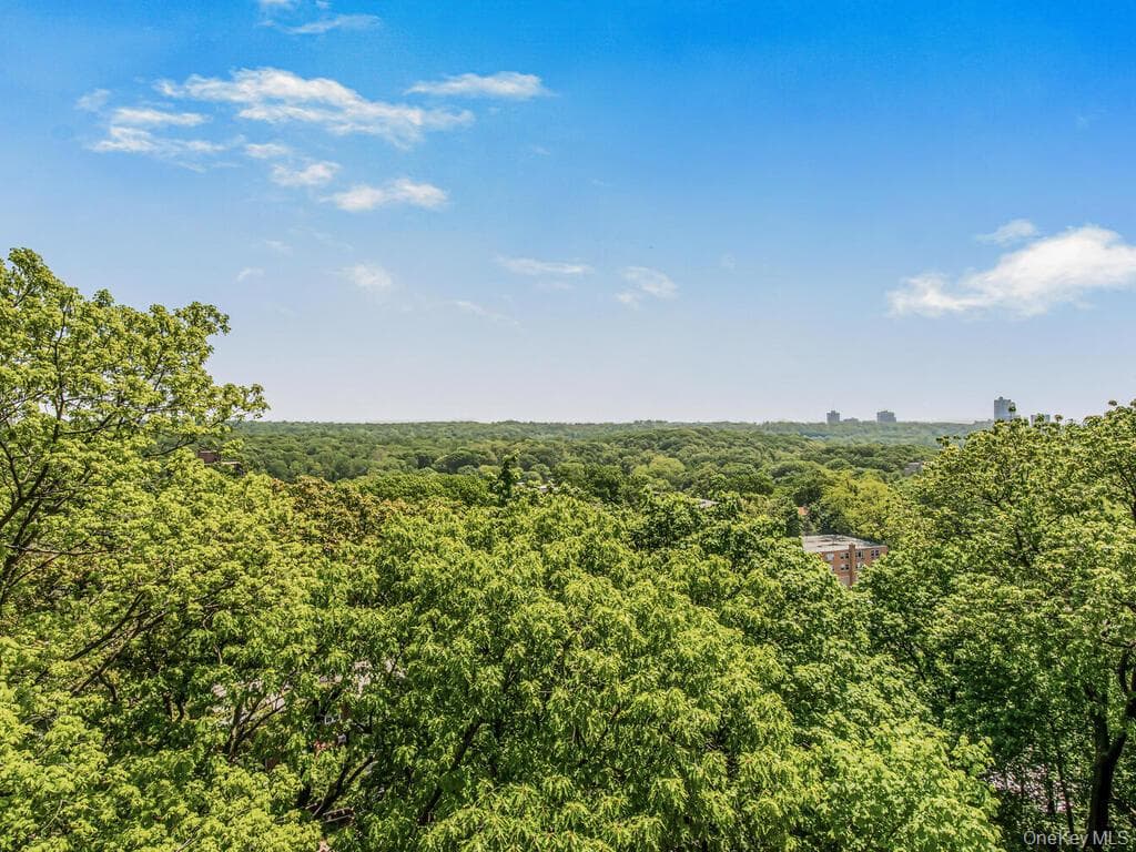 5500 Fieldston Road Unit: 5AA thumbnail 9