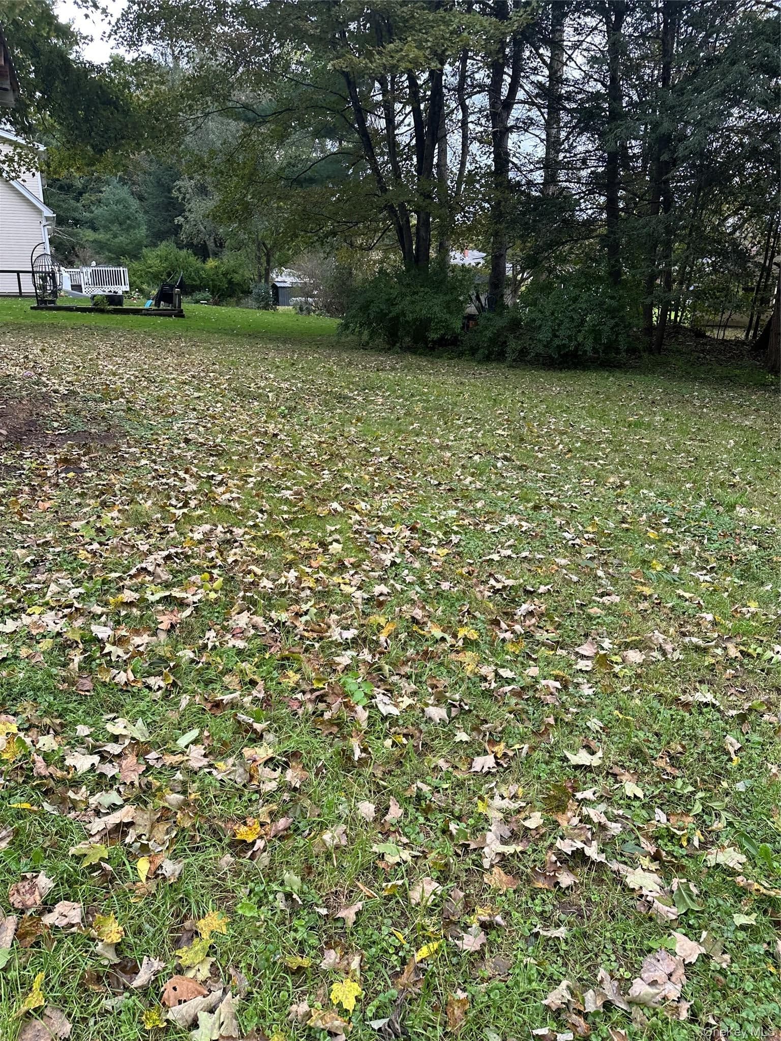 23 Mccune Place thumbnail 5