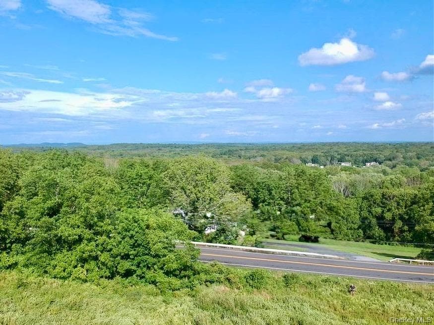 Lot #4 Mountain Road thumbnail 5