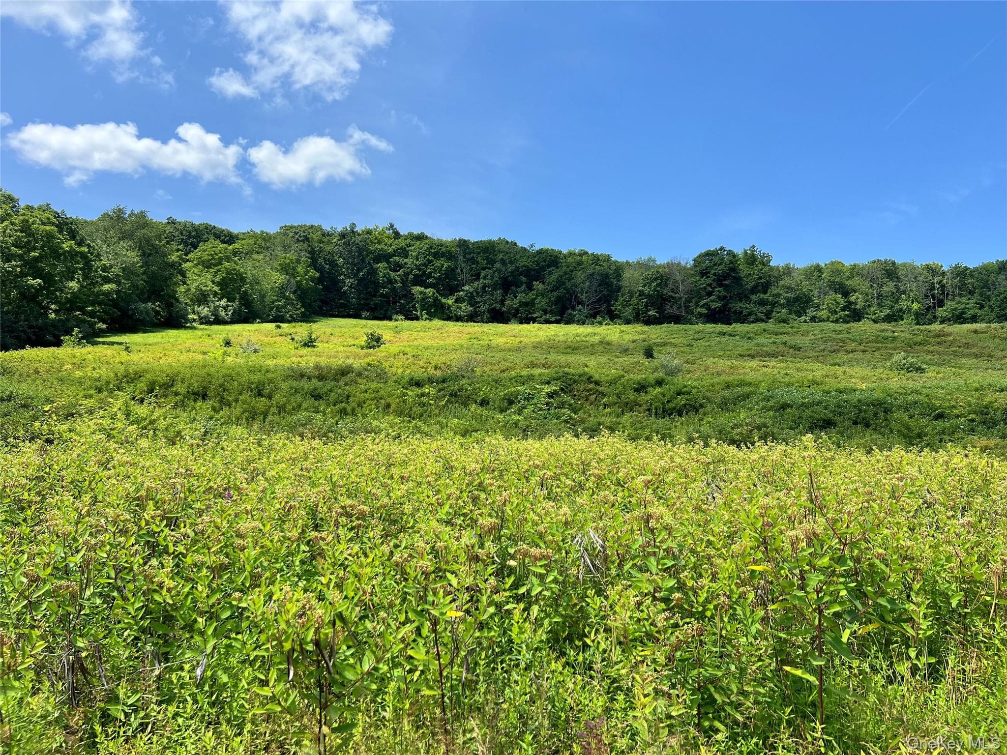 Lot #4 Mountain Road thumbnail 8
