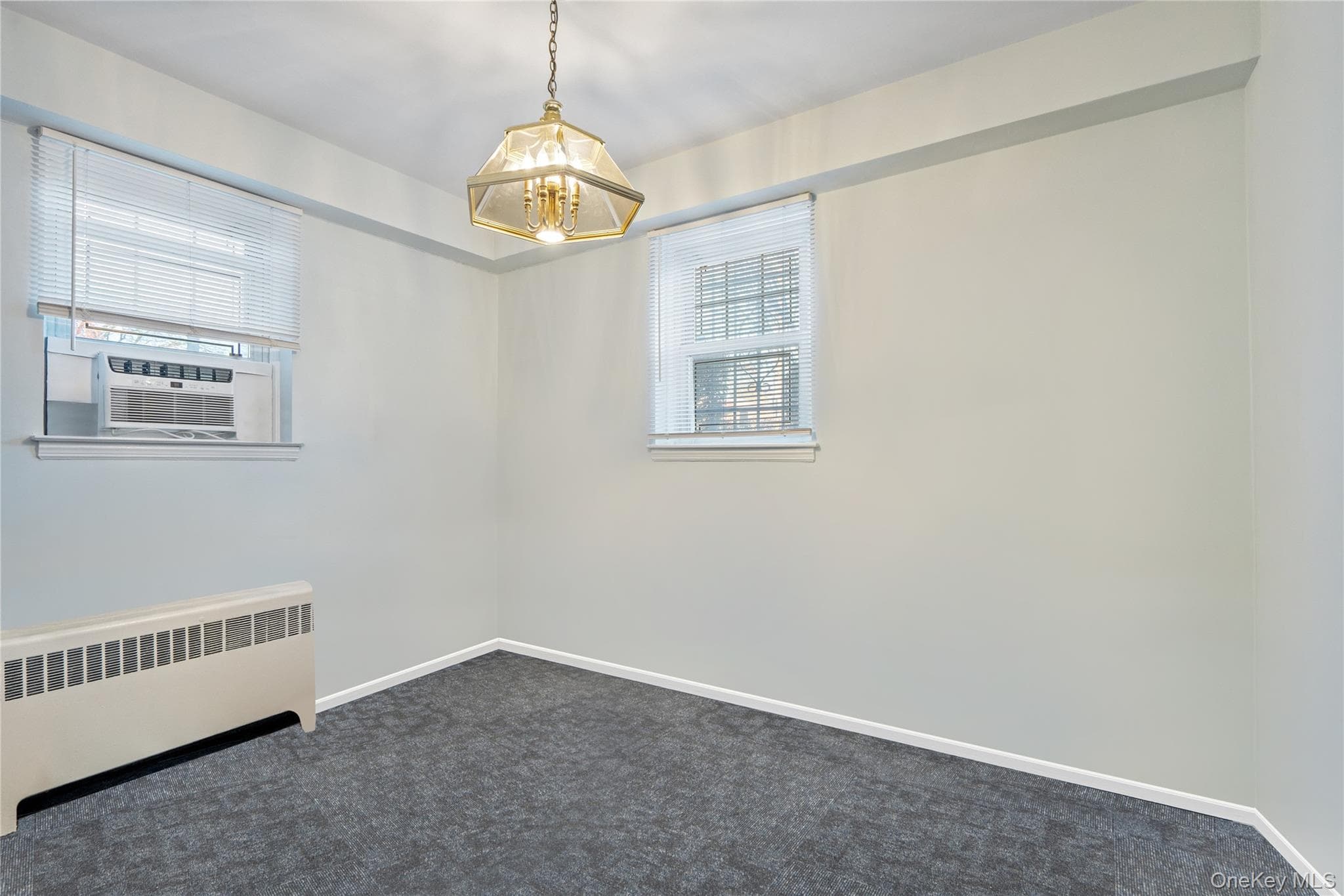 200 N Village Avenue Unit: 100 thumbnail 11